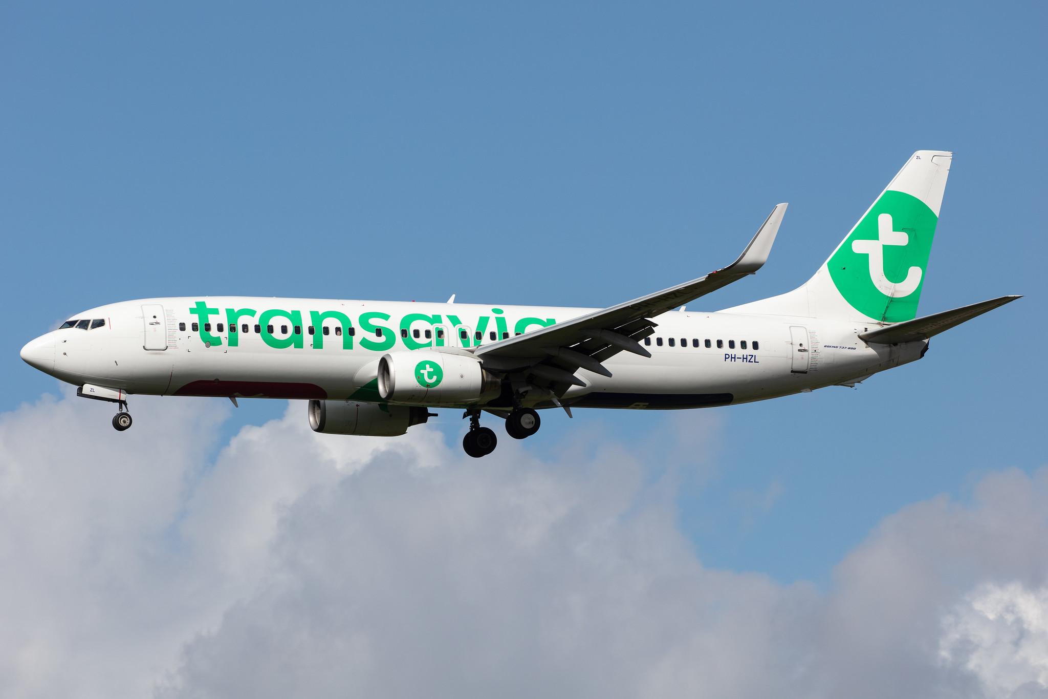 Amsterdam Airport Schiphol: Transavia (HV / TRA) |  Boeing 737-8K2 B738 | PH-HZL | MSN 30391