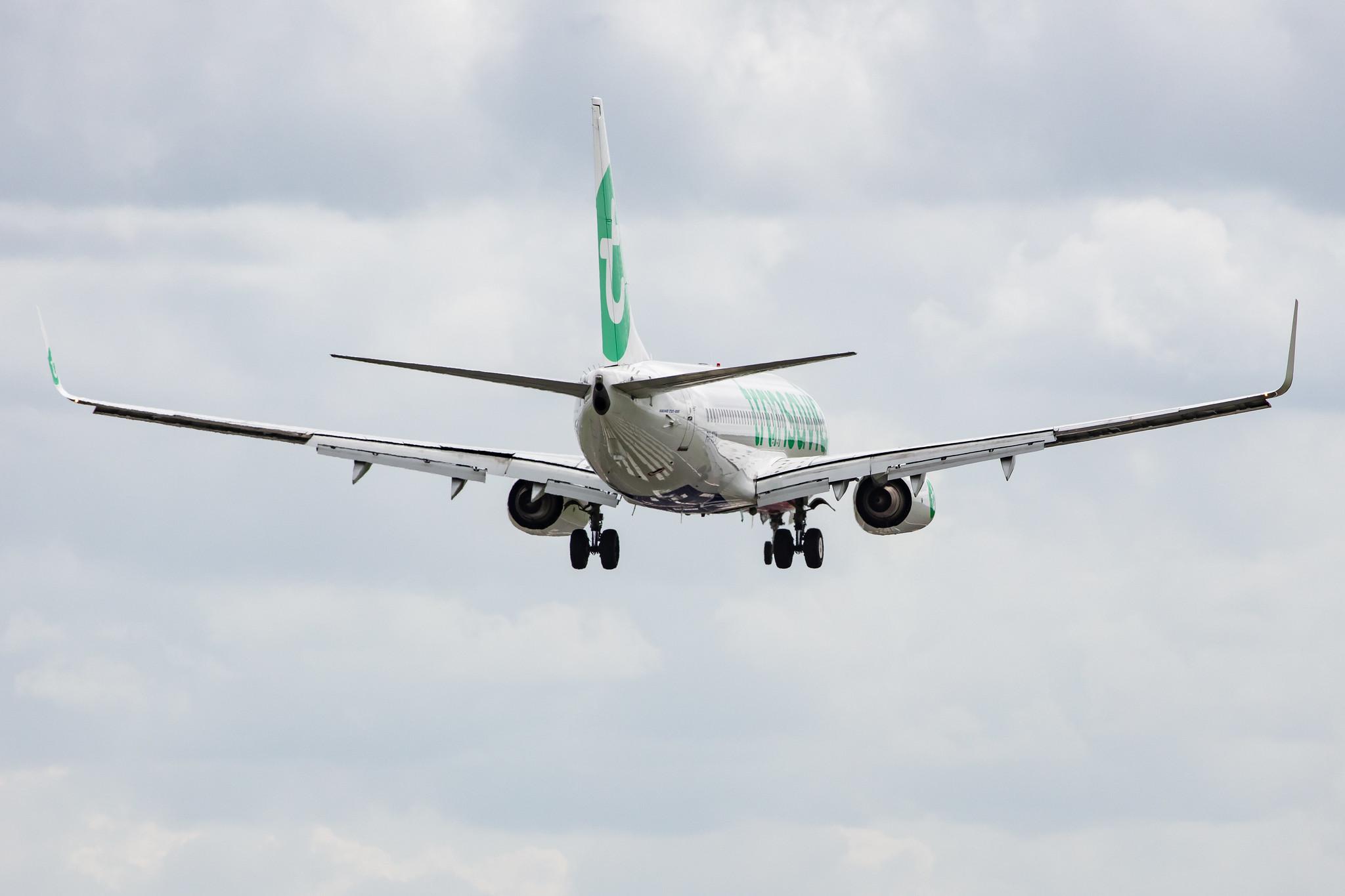 Amsterdam Airport Schiphol: Transavia (HV / TRA) |  Boeing 737-8K2 B738 | PH-HZX | MSN 28248