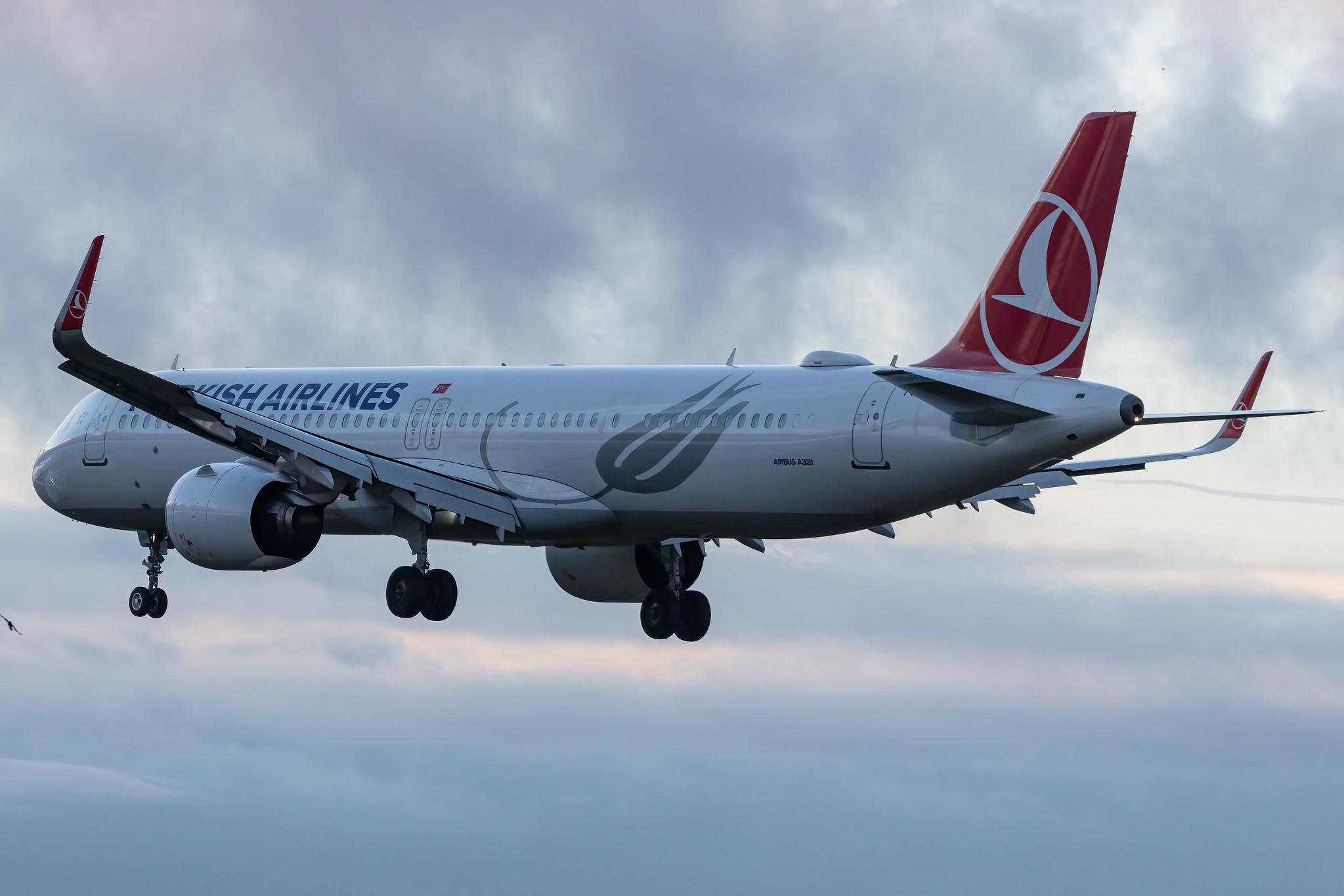 Hamburg Airport: Turkish Airlines (TK / THY) |  Airbus A321-271NX A21N | TC-LSP | MSN 9109