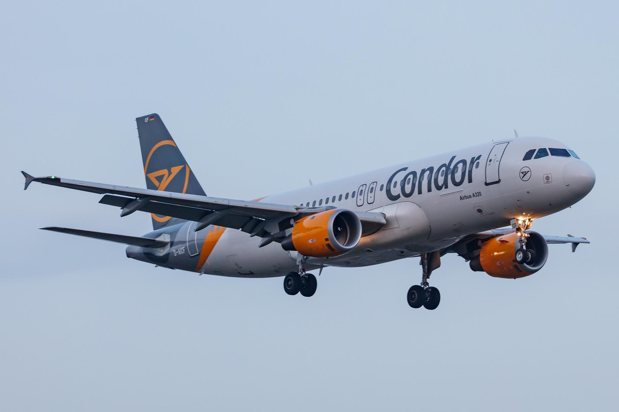 Hamburg Airport: Condor (DE / CFG) |  Airbus A320-212 A320 | D-AICF | MSN 0905