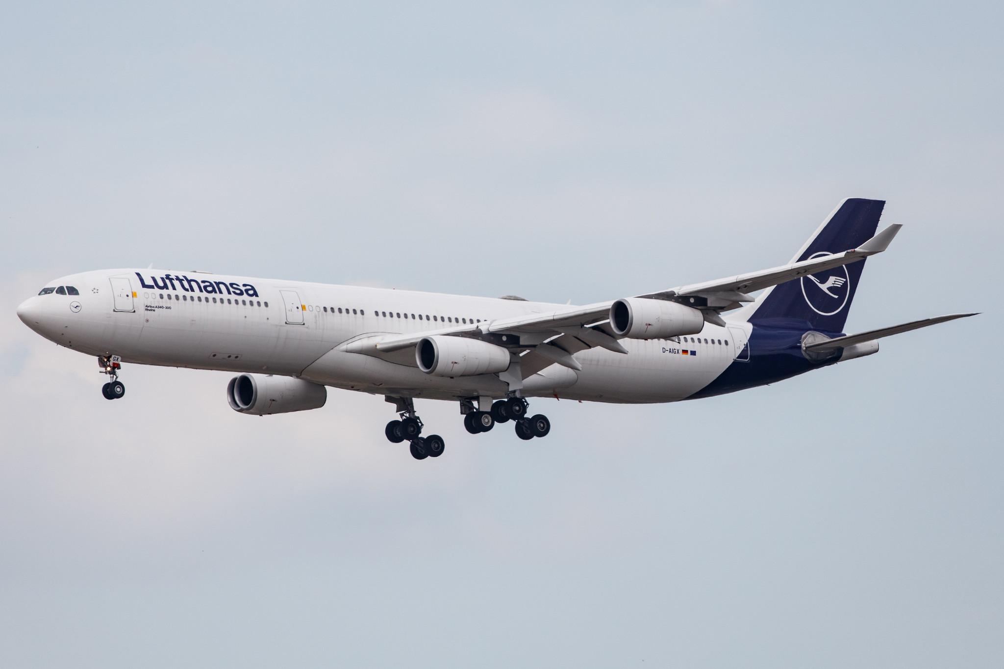 Frankfurt Airport: Lufthansa (LH / DLH) |  Airbus A340-313 A343 | D-AIGX | MSN 0354