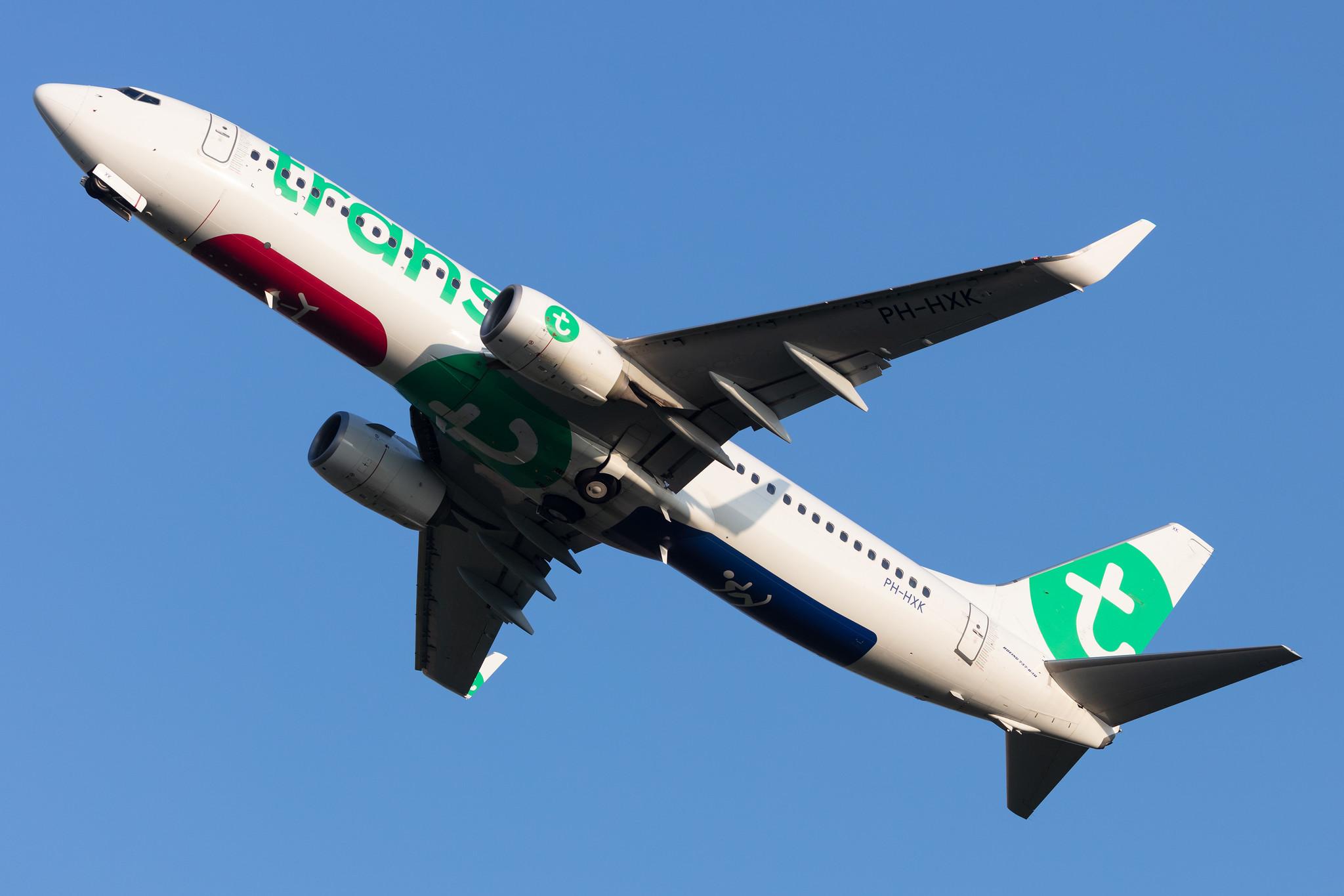Amsterdam Schiphol: Transavia (HV / TRA) |  Boeing 737-8K2 B738 | PH-HXK | MSN 62157