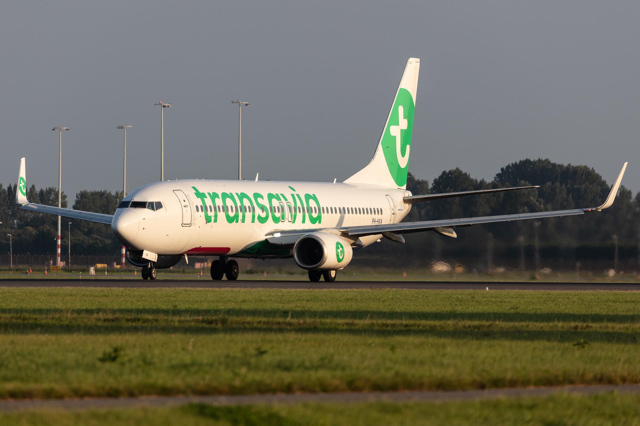 Amsterdam Schiphol: Transavia (HV / TRA) |  Boeing 737-8K2 B738 | PH-HXA | MSN 62149