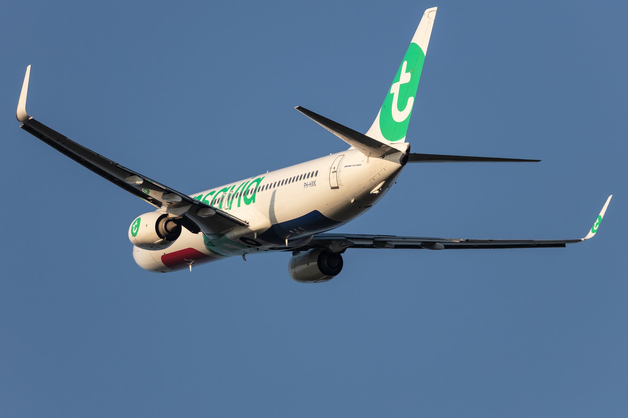 Amsterdam Schiphol: Transavia (HV / TRA) |  Boeing 737-8K2 B738 | PH-HXK | MSN 62157