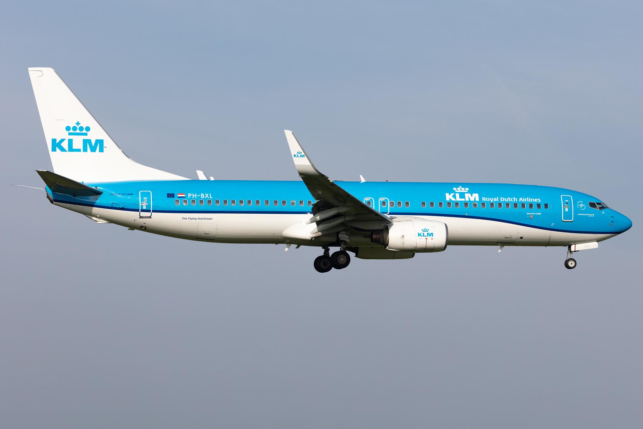 Amsterdam Schiphol: KLM (KL / KLM) |  Boeing 737-8K2 B738 | PH-BXL | MSN 30359