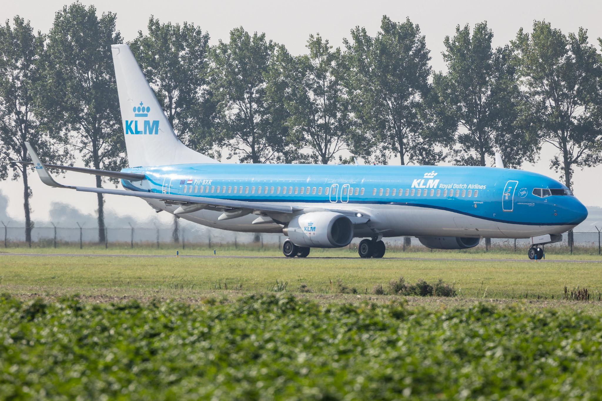 Amsterdam Schiphol: KLM (KL / KLM) |  Boeing 737-9K2 B739 | PH-BXR | MSN 29601