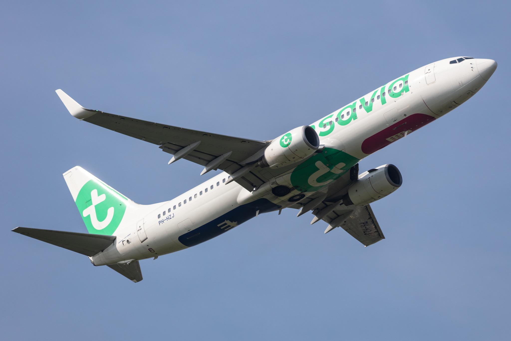 Amsterdam Schiphol: Transavia (HV / TRA) |  Boeing 737-8K2 B738 | PH-HZJ | MSN 30389