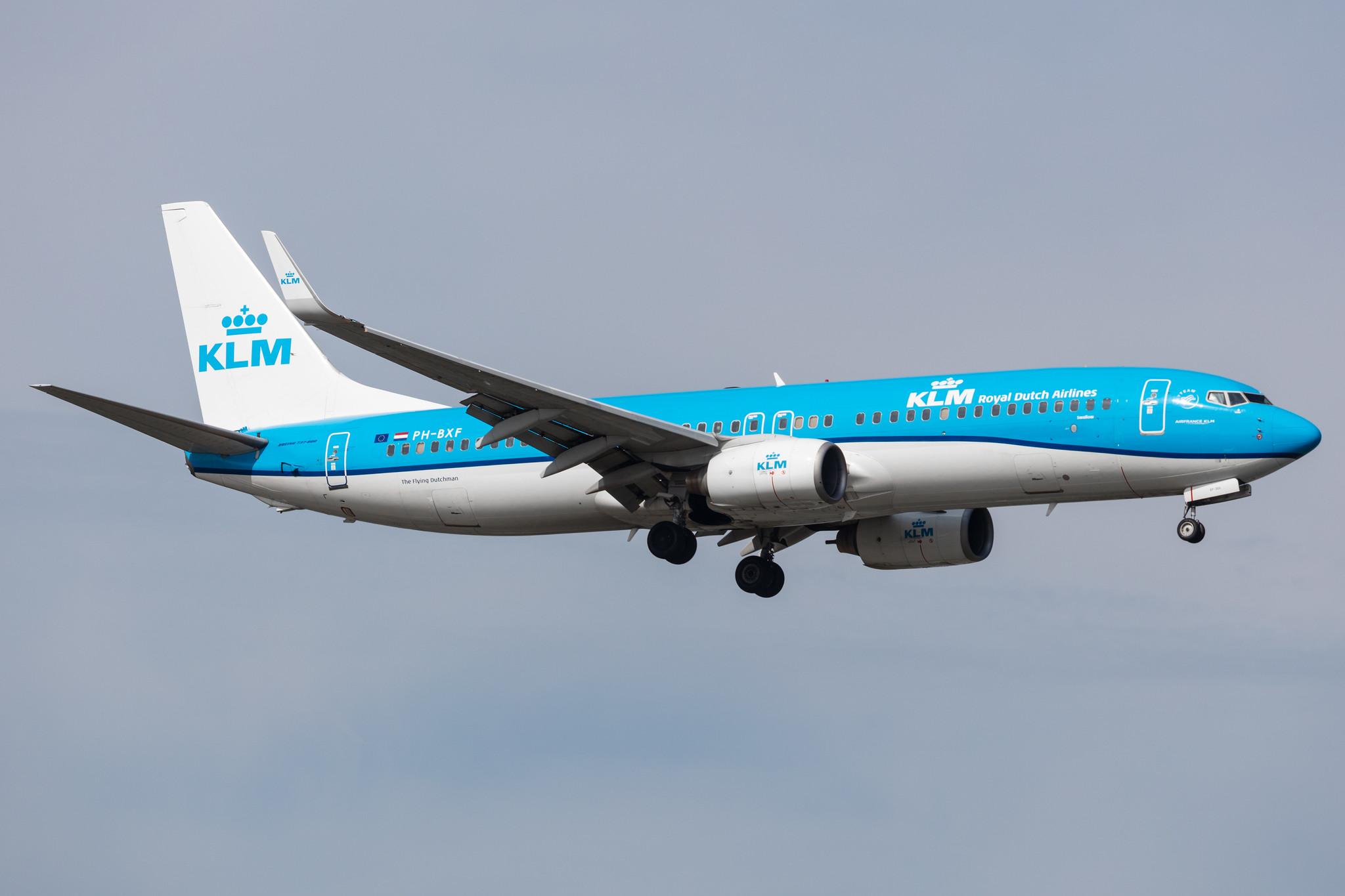 Amsterdam Schiphol: KLM (KL / KLM) |  Boeing 737-8K2 B738 | PH-BXF | MSN 29596