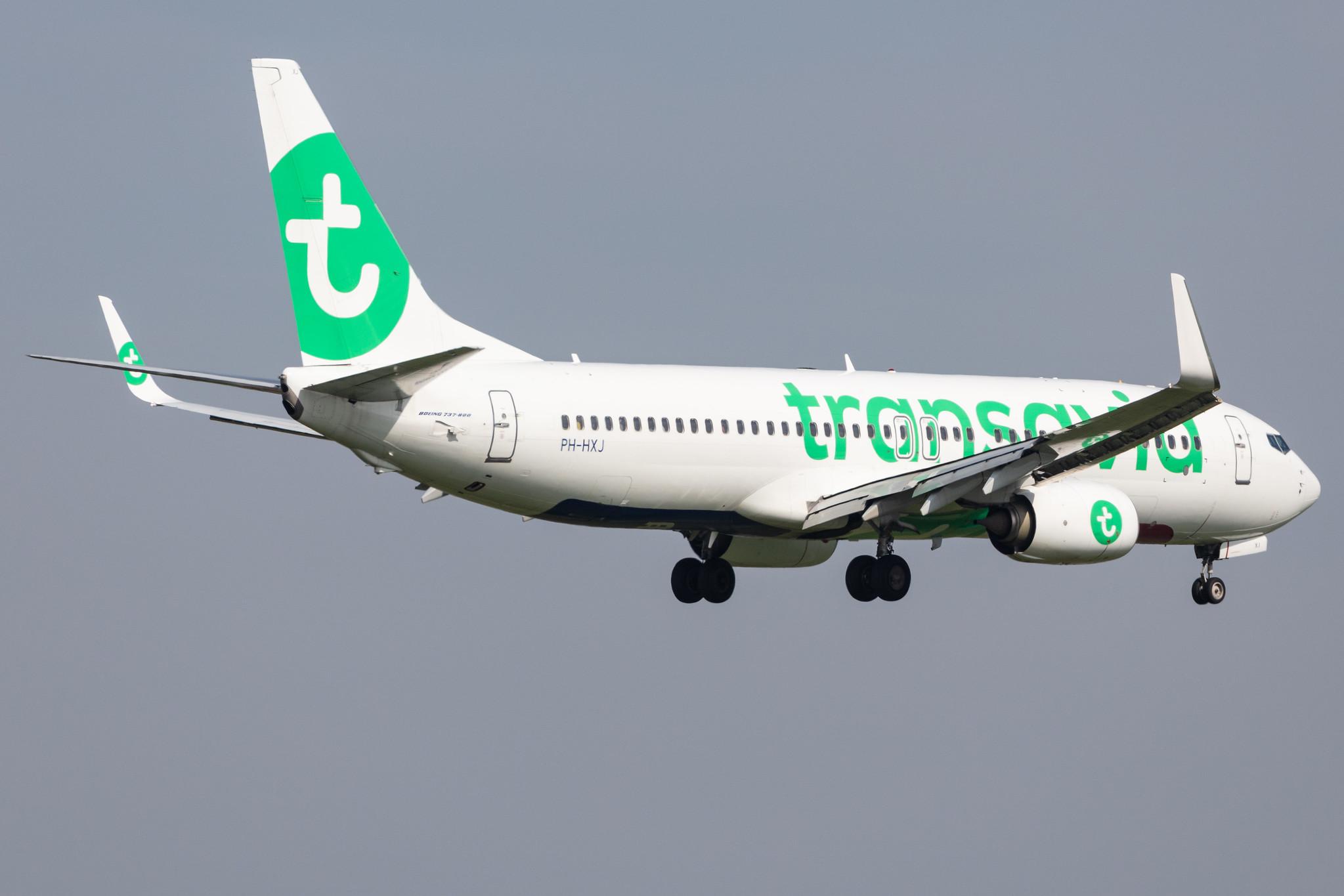 Amsterdam Schiphol: Transavia (HV / TRA) |  Boeing 737-8K2 B738 | PH-HXJ | MSN 62159