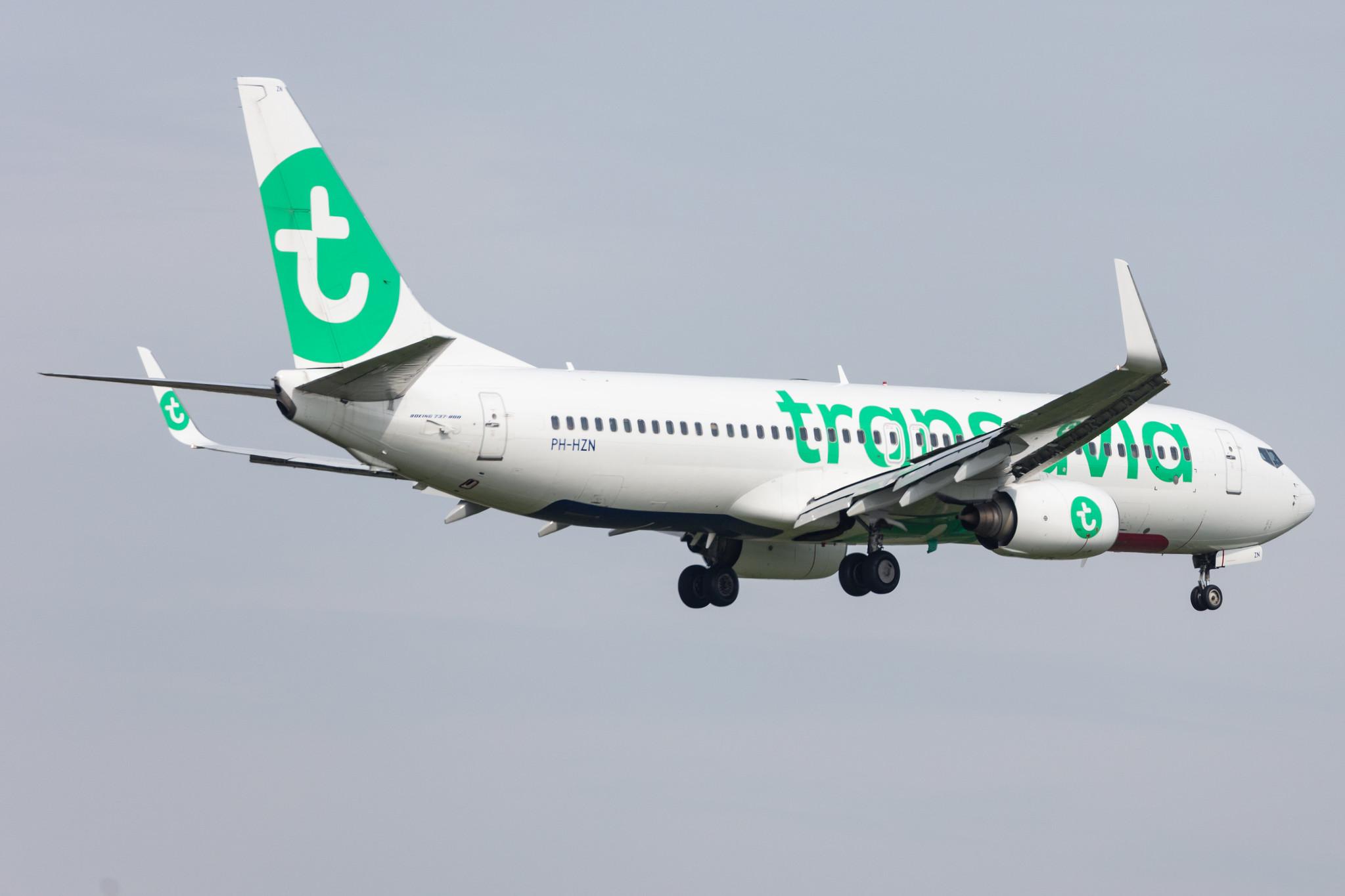 Amsterdam Schiphol: Transavia (HV / TRA) |  Boeing 737-8K2 B738 | PH-HZN | MSN 32943