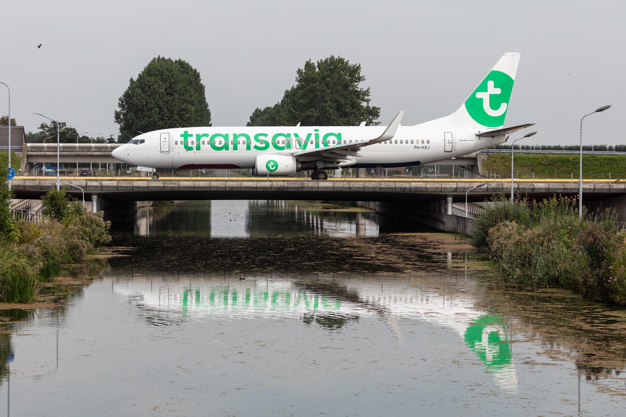Amsterdam Schiphol: Transavia (HV / TRA) |  Boeing 737-8K2 B738 | PH-HXJ | MSN 62159