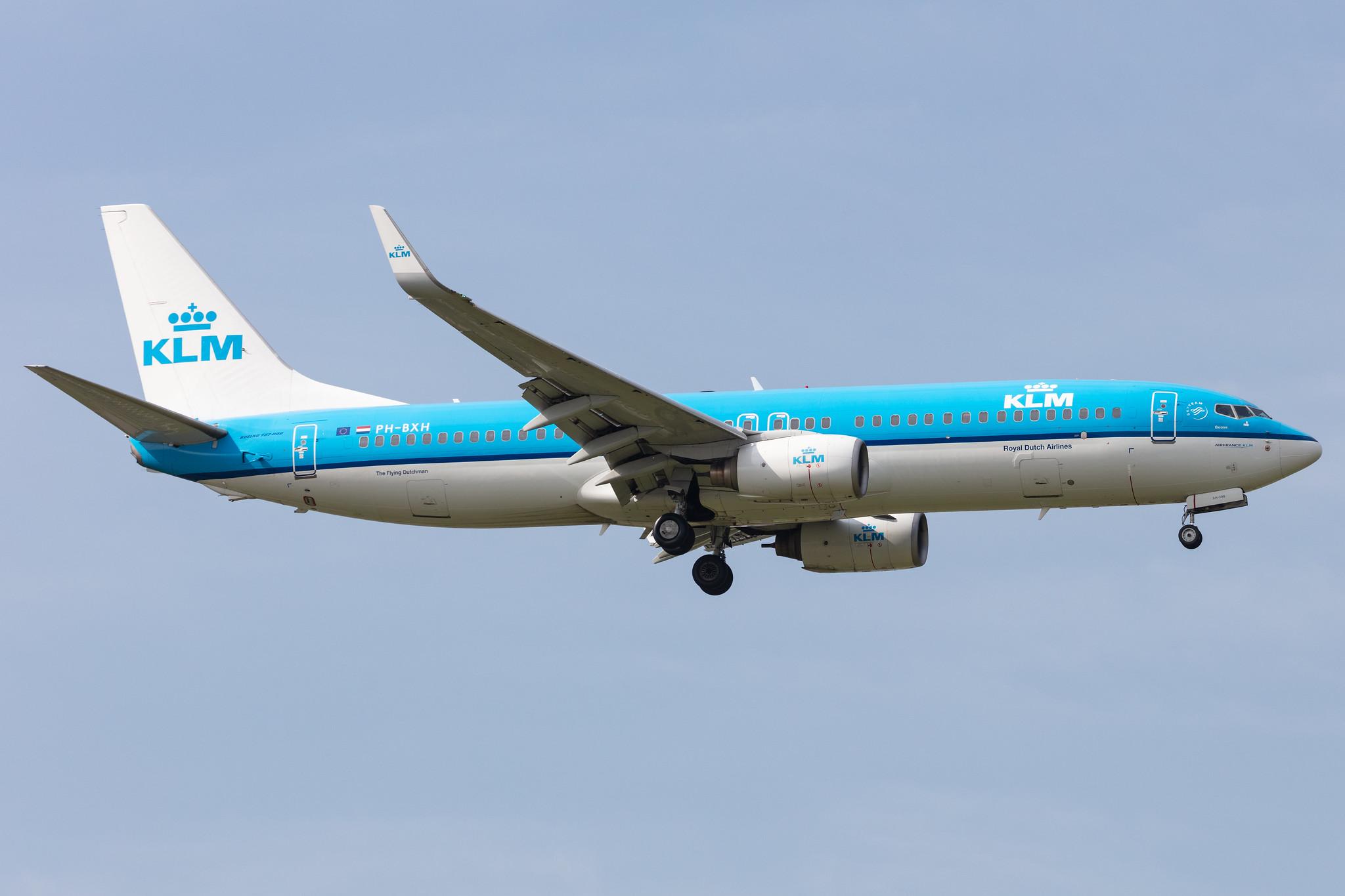 Amsterdam Schiphol: KLM (KL / KLM) |  Boeing 737-8K2 B738 | PH-BXH | MSN 29597