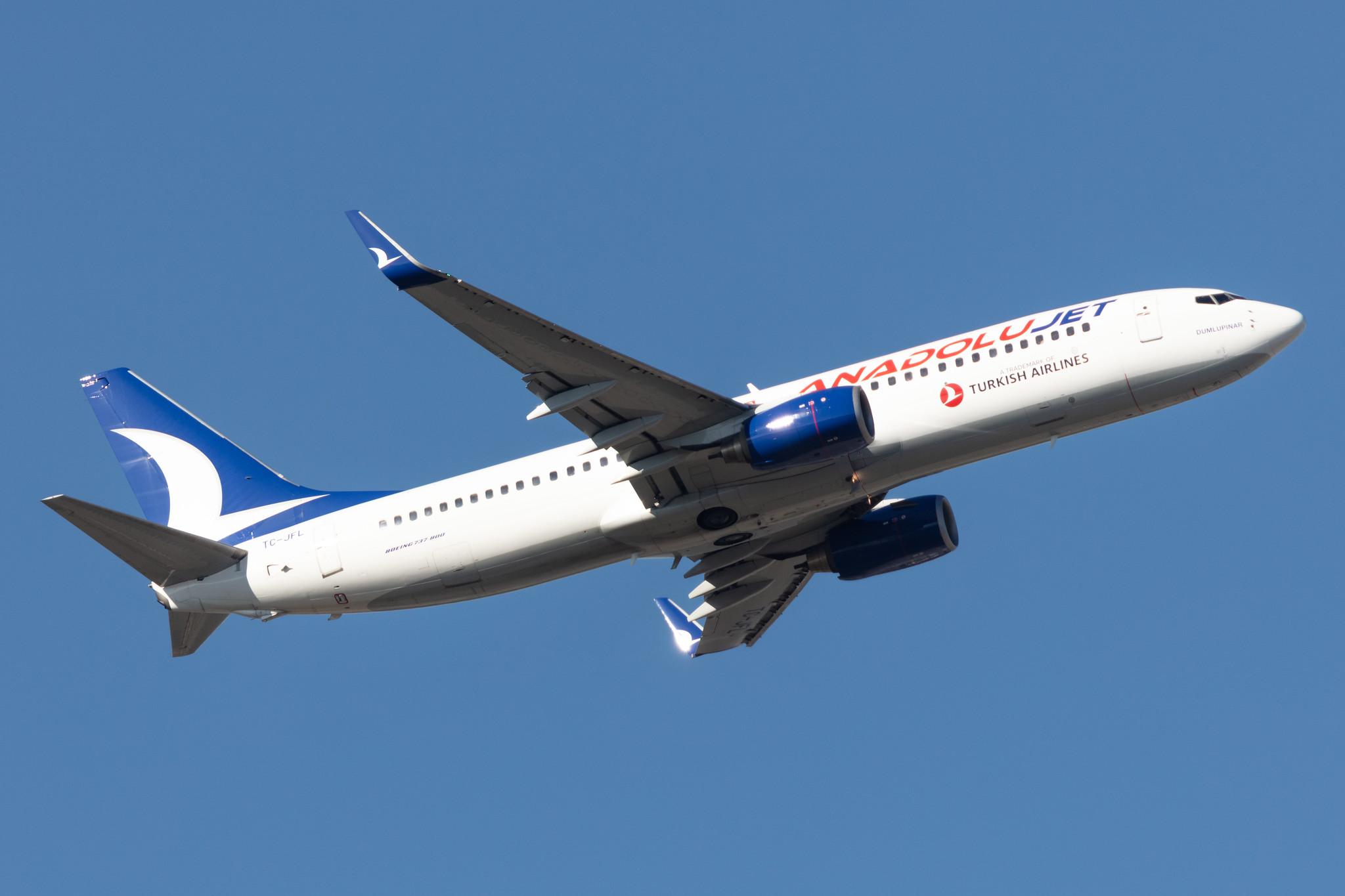 Frankfurt Airport: AnadoluJet (TK / THY) | Operator: Turkish Airlines | Boeing 737-8F2 B738 | TC-JFL | MSN 29774