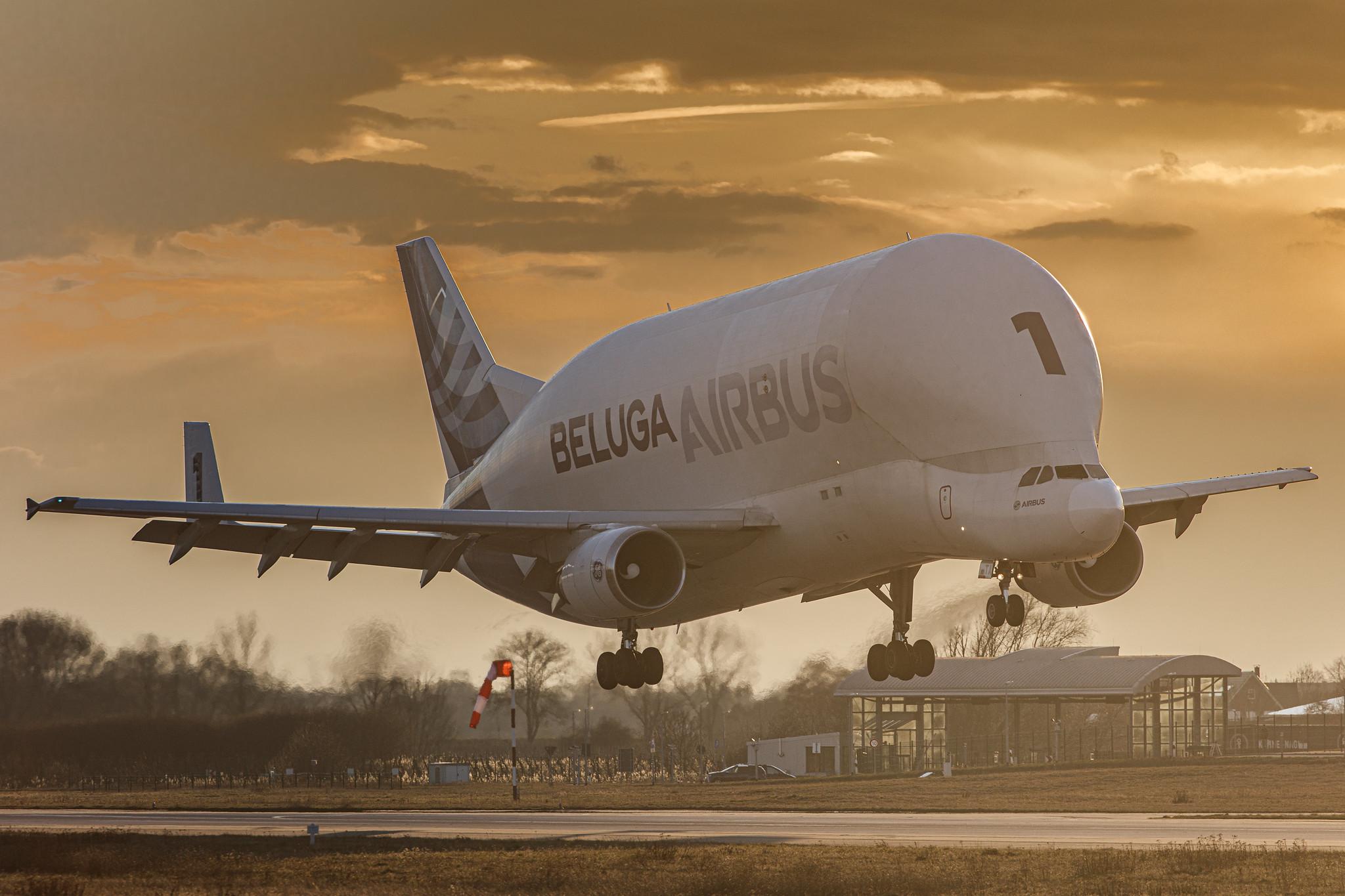 Hamburg Finkenwerder: Airbus Transport International (4Y / BGA) |  Airbus A300-608ST Beluga A3ST | F-GSTA | MSN 655
