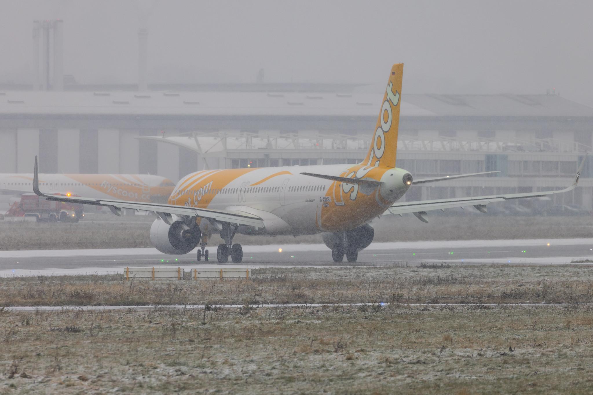 Hamburg Finkenwerder: Scoot (TR / TGW) | Airbus A321-271NX A21N | D-AVXS (9V-NCG) | MSN 10675