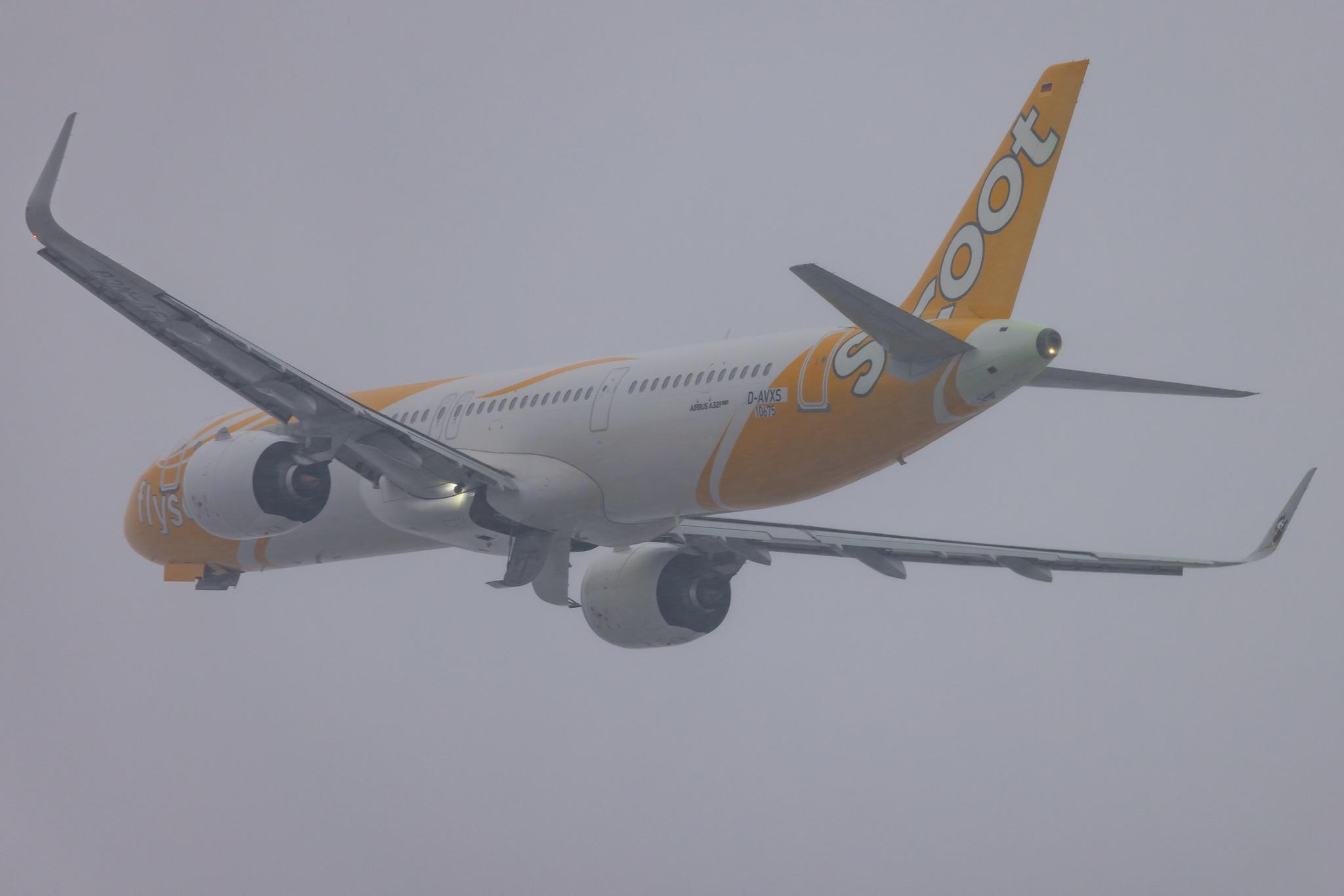 Hamburg Finkenwerder: Scoot (TR / TGW) | Airbus A321-271NX A21N | D-AVXS (9V-NCG) | MSN 10675