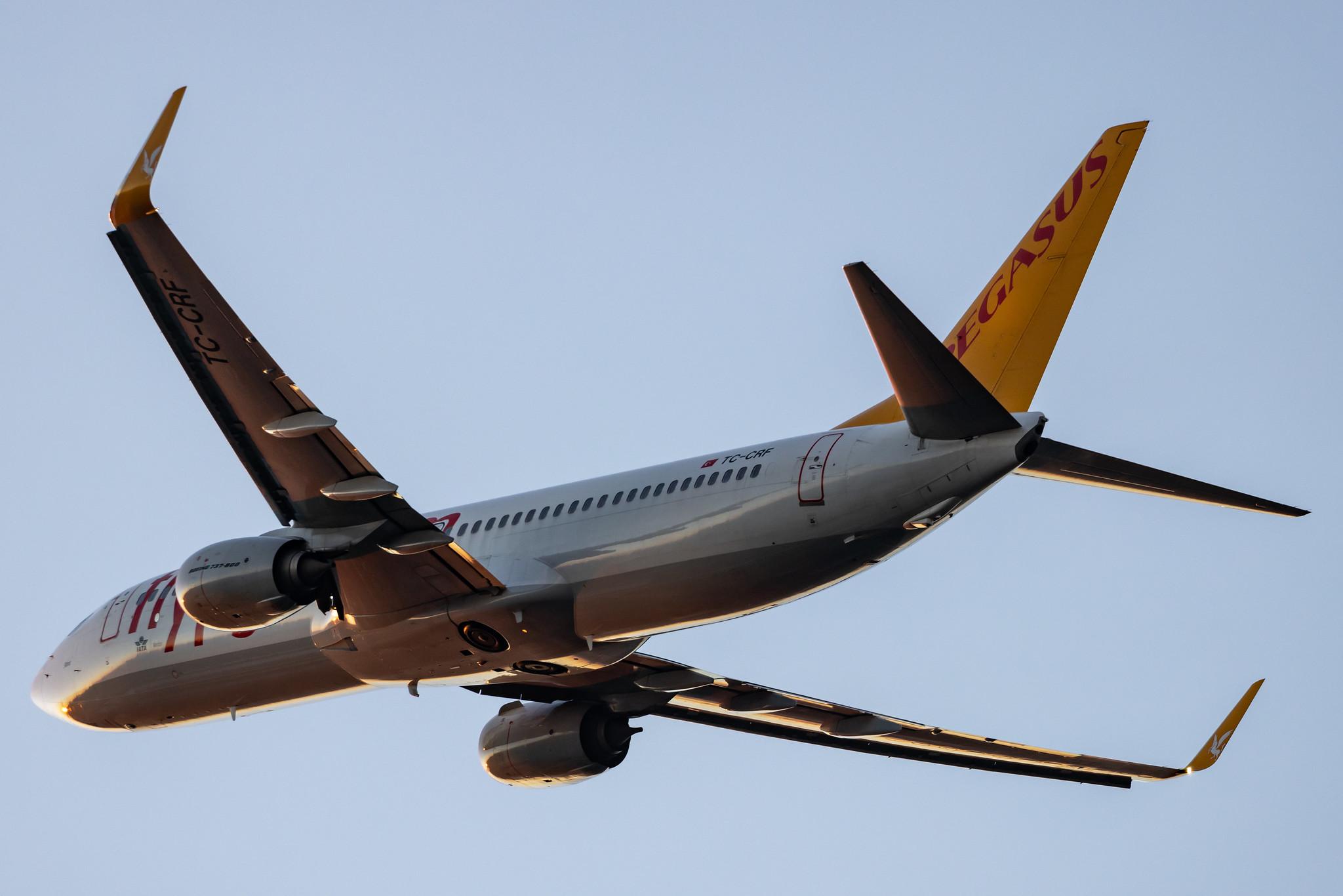 Hamburg Airport: Pegasus (PC / PGT) | Operator: Pegasus Airlines |  Boeing 737-82R B738 | TC-CRF | MSN 63704