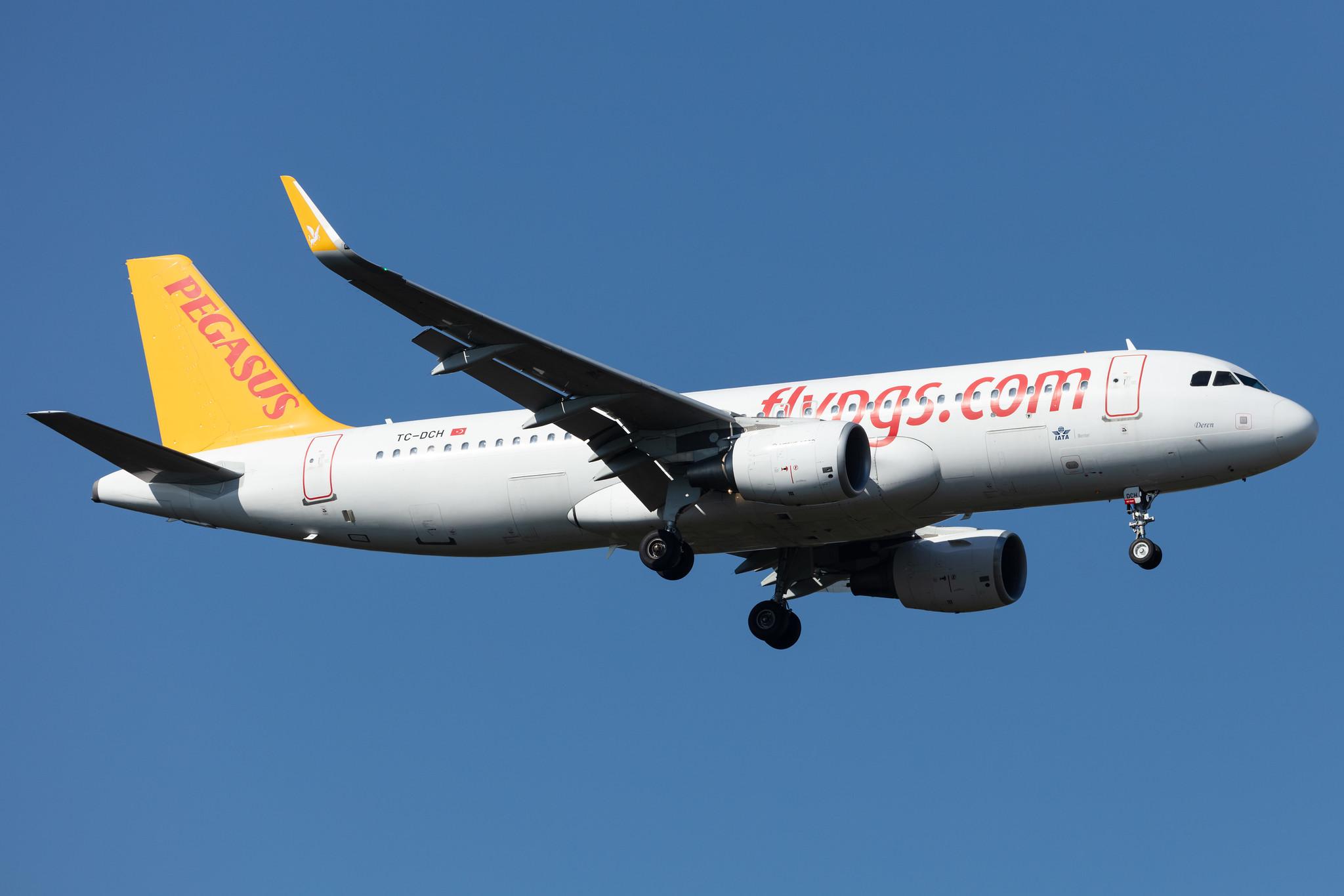 Frankfurt Airport: Pegasus (PC / PGT) | Operator: Pegasus Airlines |  Airbus A320-216 A320 | TC-DCH | MSN 06619