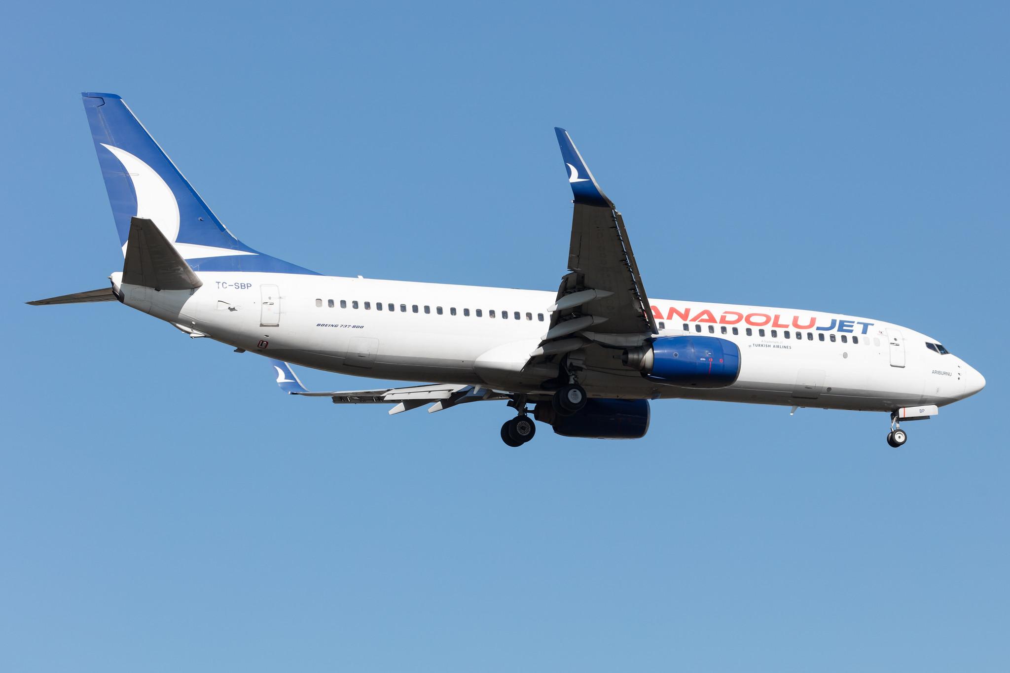 Frankfurt Airport: AnadoluJet (TK / THY) | Operator: SunExpress |  Boeing 737-86N B738 | TC-SBP | MSN 32672