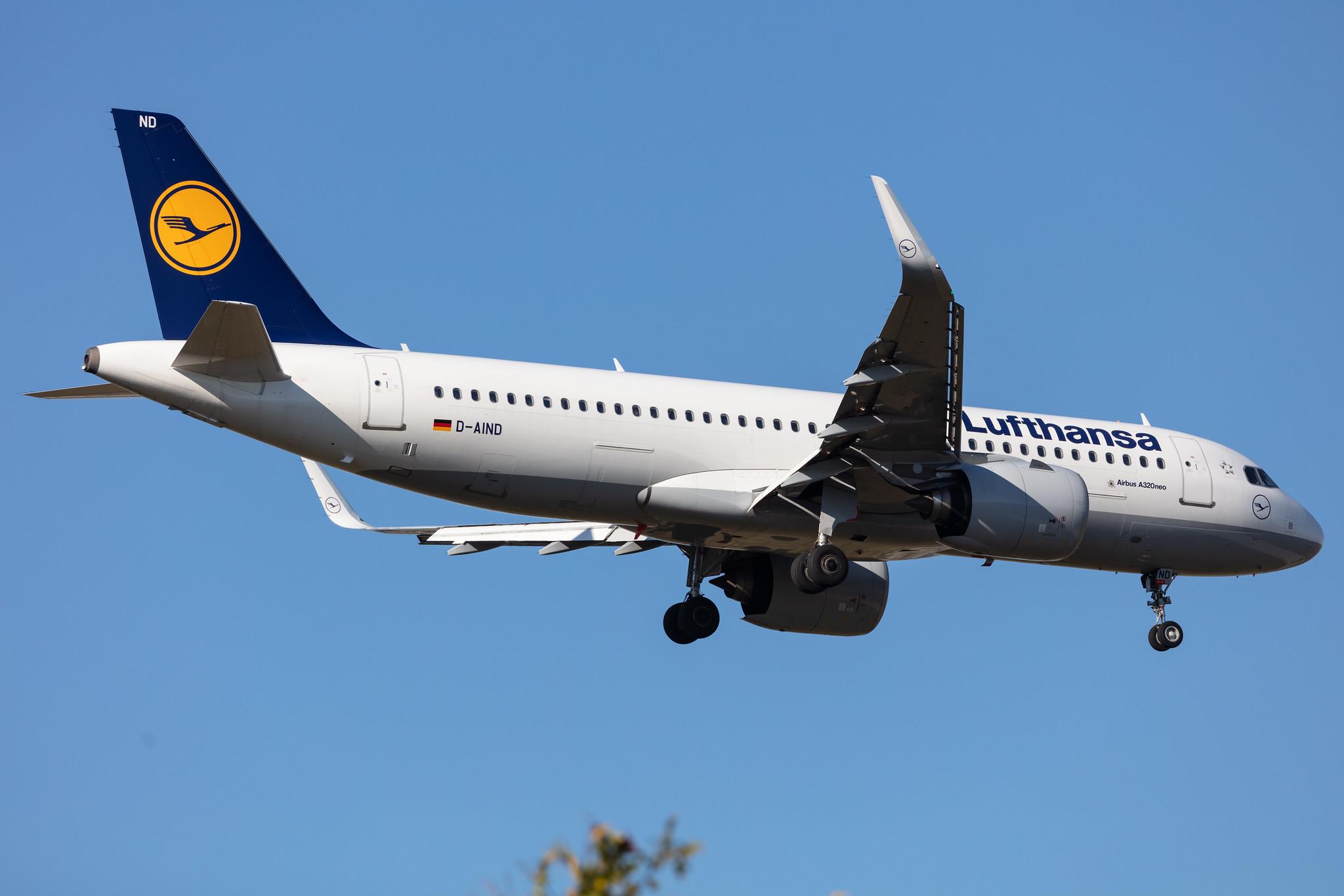 Frankfurt Airport: Lufthansa (LH / DLH) |  Airbus A320-271N A20N | D-AIND | MSN 7078