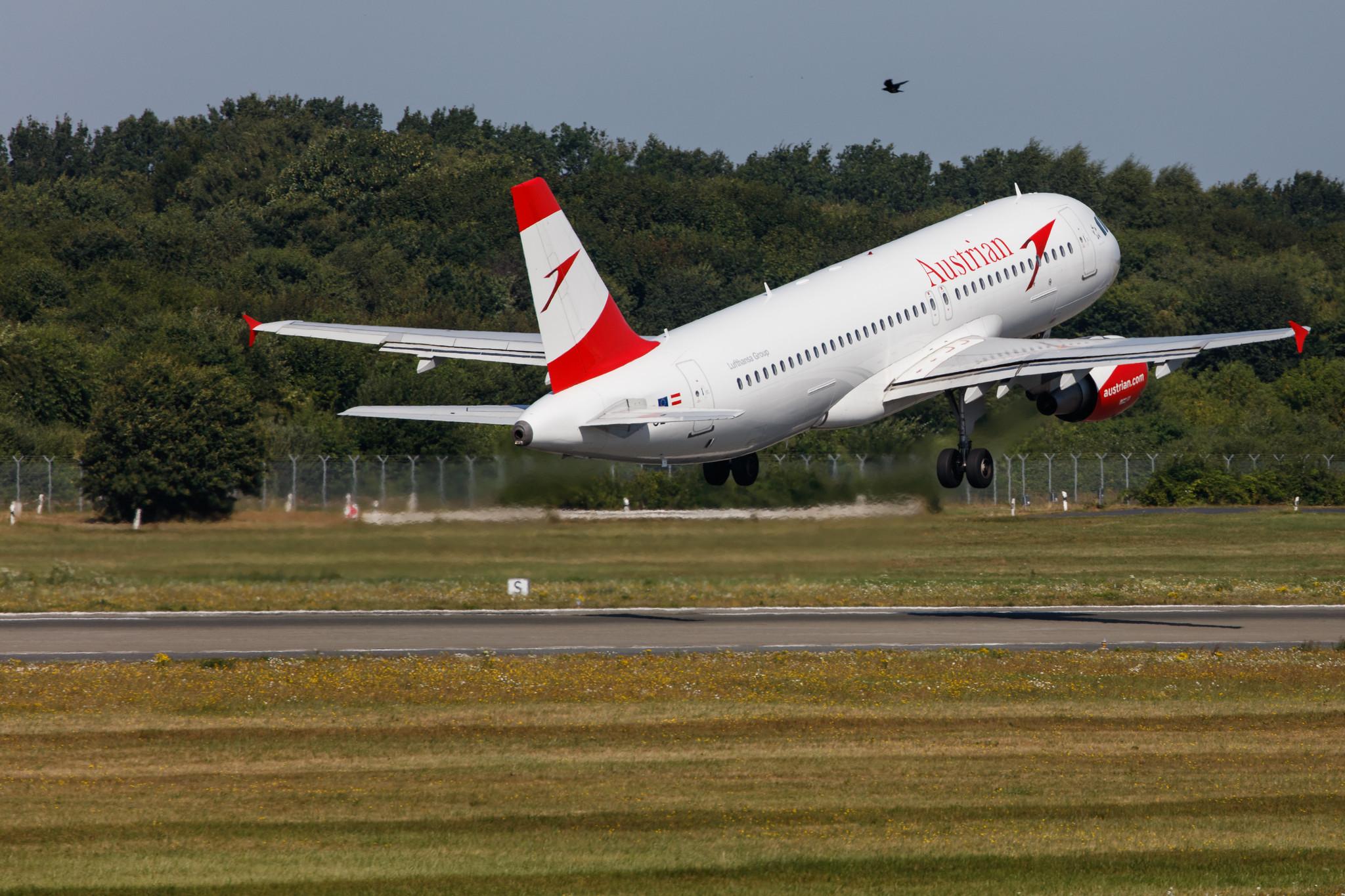 Hamburg Airport: Austrian Airlines (OS / AUA) |  Airbus A320-216 A320 | OE-LXA | MSN 3295
