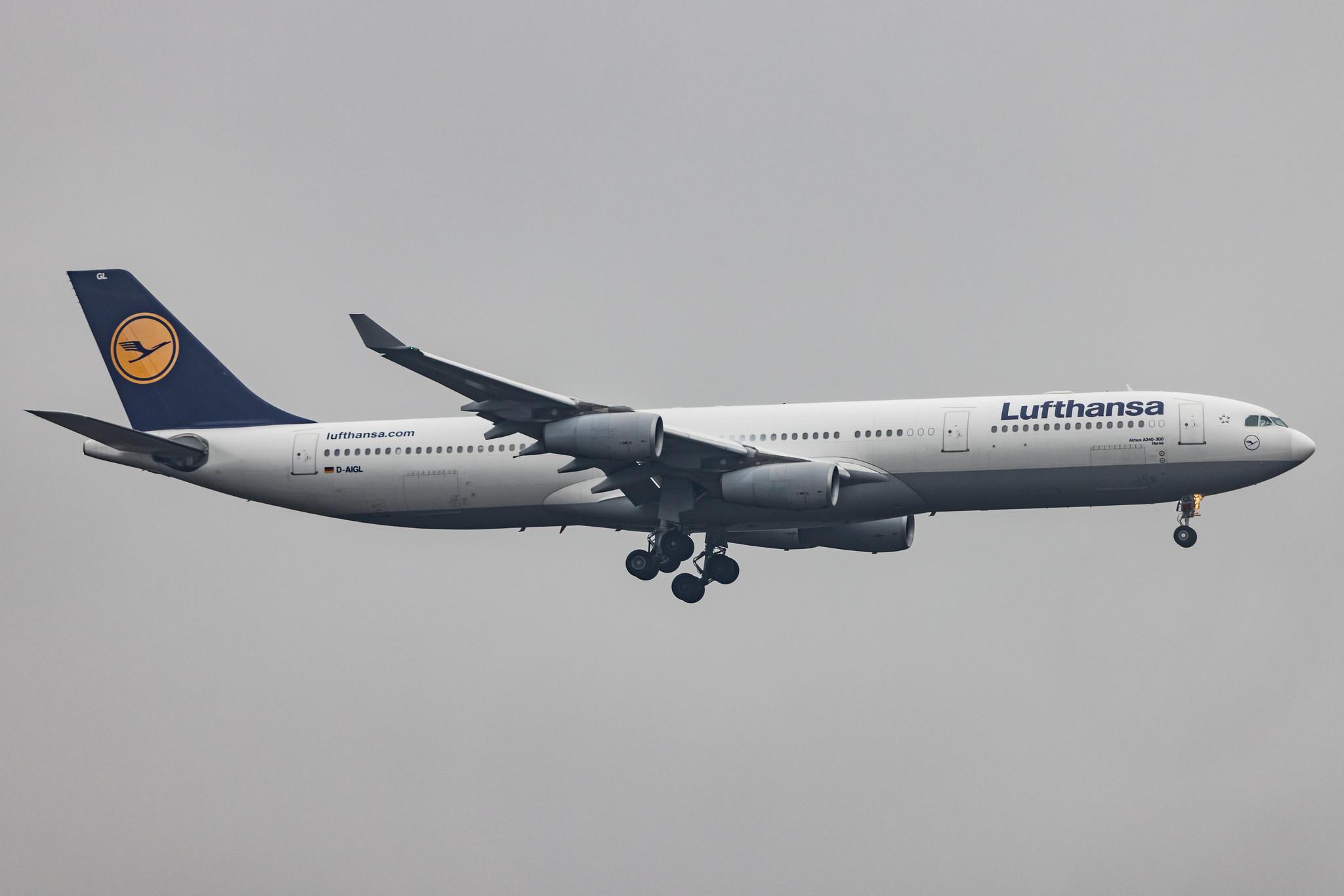 Frankfurt Airport: Lufthansa (LH / DLH) |  Airbus A340-313 A343 | D-AIGL | MSN 0135