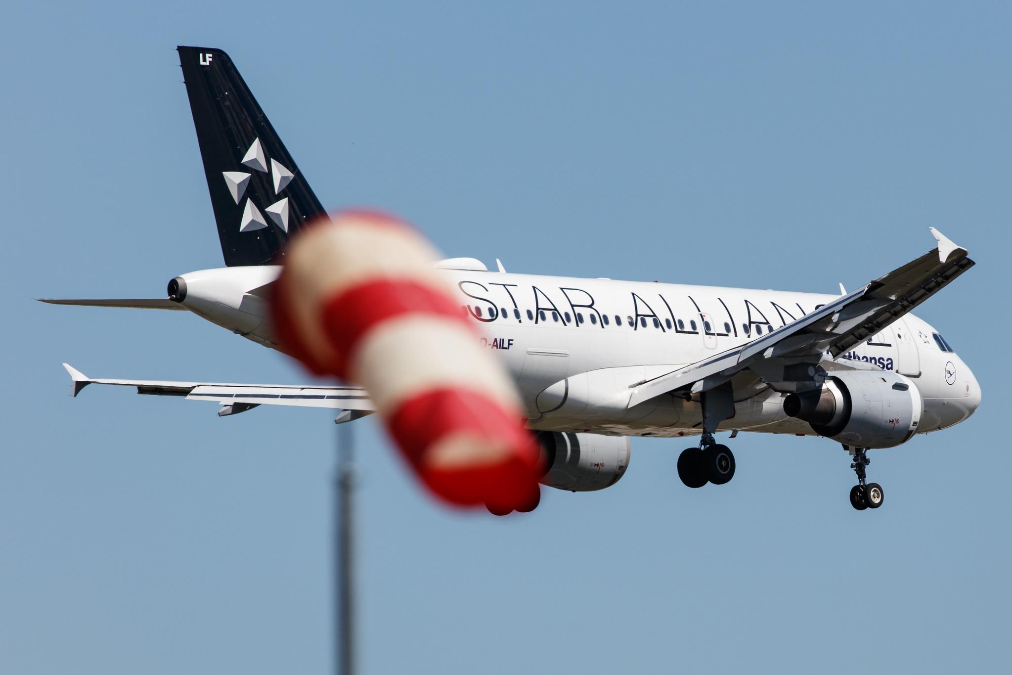 Frankfurt Airport: Lufthansa (LH / DLH) |  Livery: Star Alliance Livery |  Airbus A319-114 A319 | D-AILF | MSN 0636