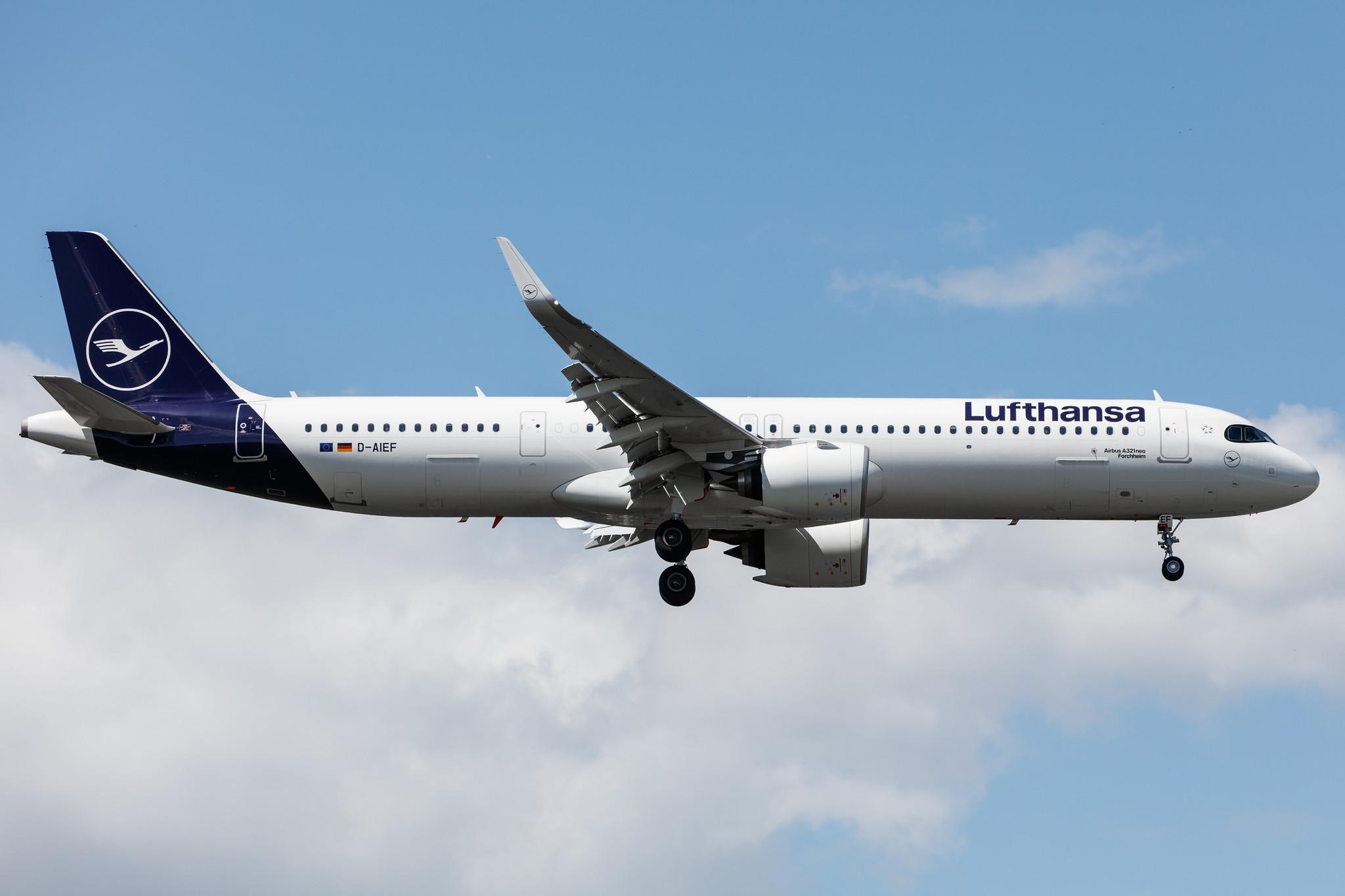 Frankfurt Airport: Lufthansa (LH / DLH) |  Airbus A321-271NX A21N | D-AIEF | MSN 10010
