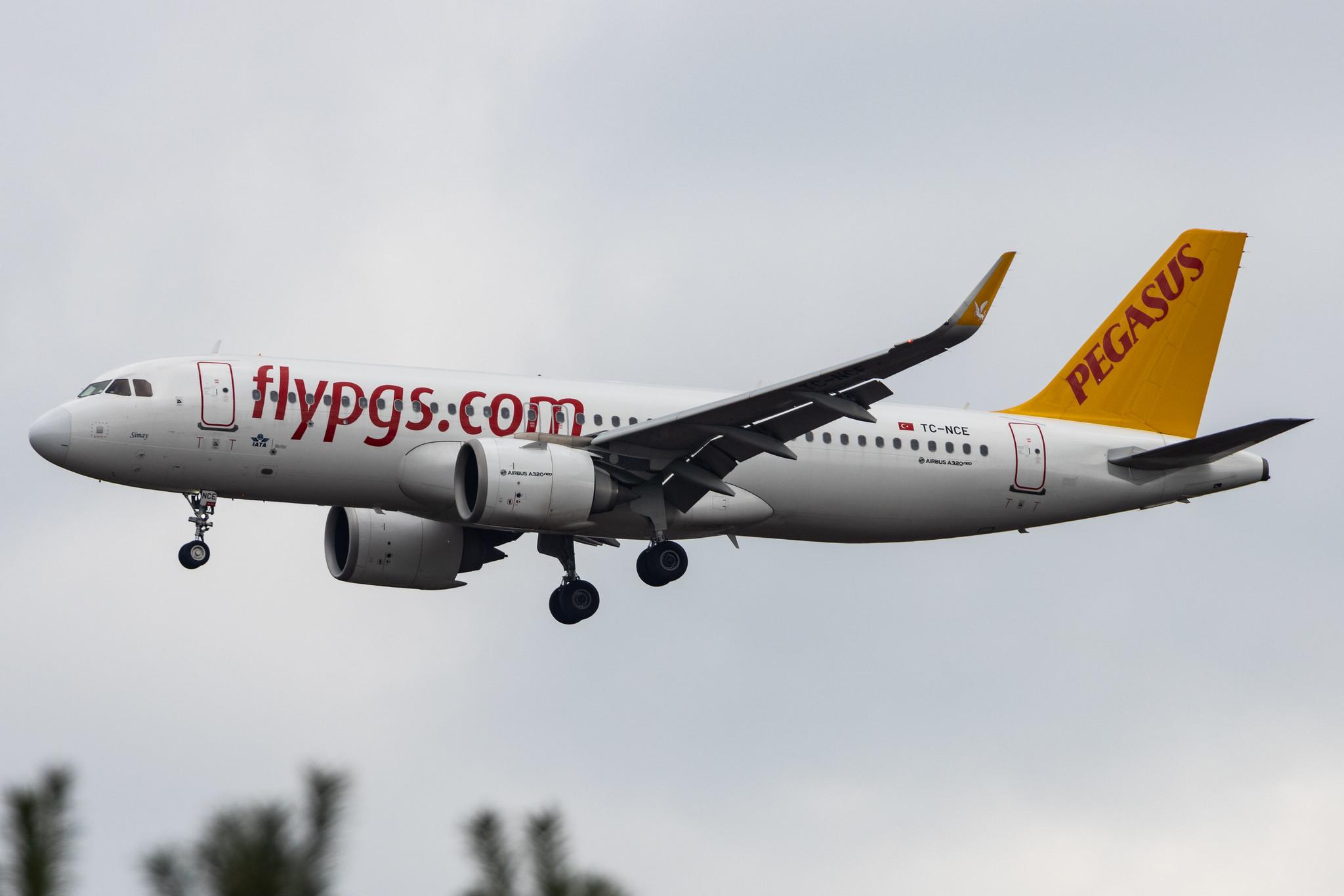 Köln Bonn Airport: Pegasus (PC / PGT) | Operator: Pegasus Airlines |  Airbus A320-251N A20N | TC-NCE | MSN 08875