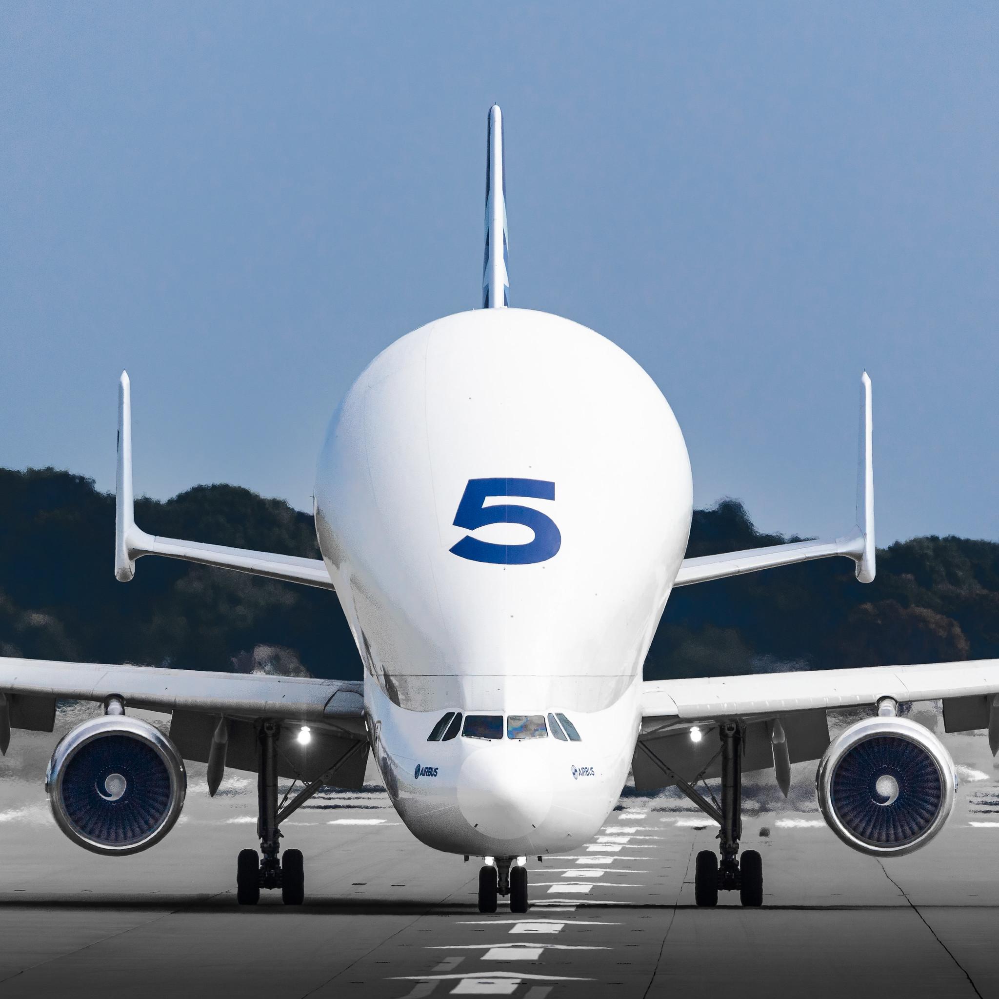 Hamburg Finkenwerder: Airbus Transport International (4Y / BGA) |  Airbus A300-608ST Beluga A3ST | F-GSTF | MSN 796