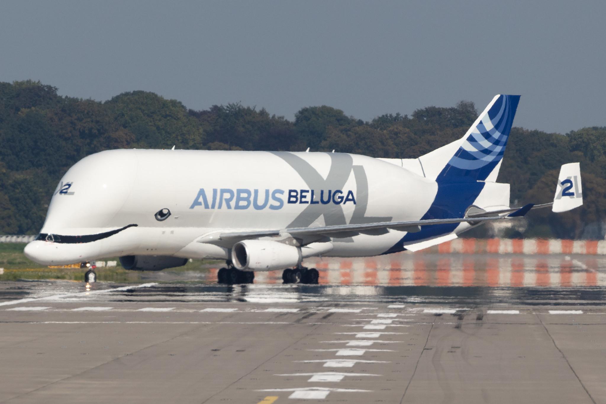 Hamburg Finkenwerder: Airbus Transport International (4Y / BGA) |  Airbus A330-743L Beluga XL A337 | F-GXLH | MSN 1853