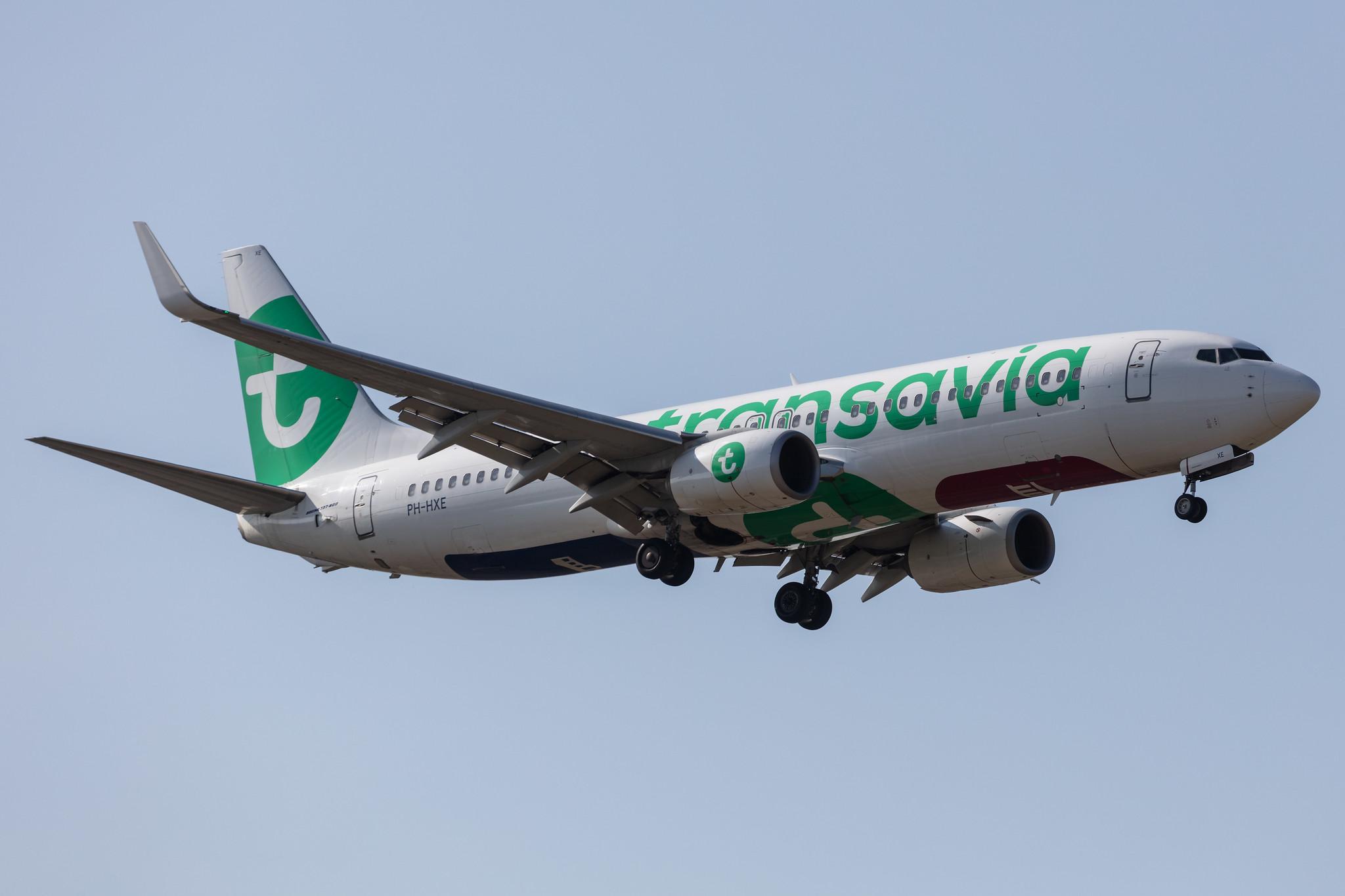 Amsterdam Schiphol: Transavia (HV / TRA) |  Boeing 737-8K2 B738 | PH-HXE | MSN 61790