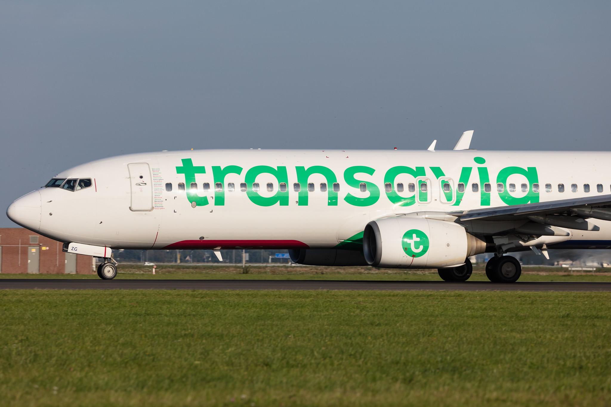 Amsterdam Schiphol: Transavia (HV / TRA) |  Boeing 737-8K2 B738 | PH-HZG | MSN 28379