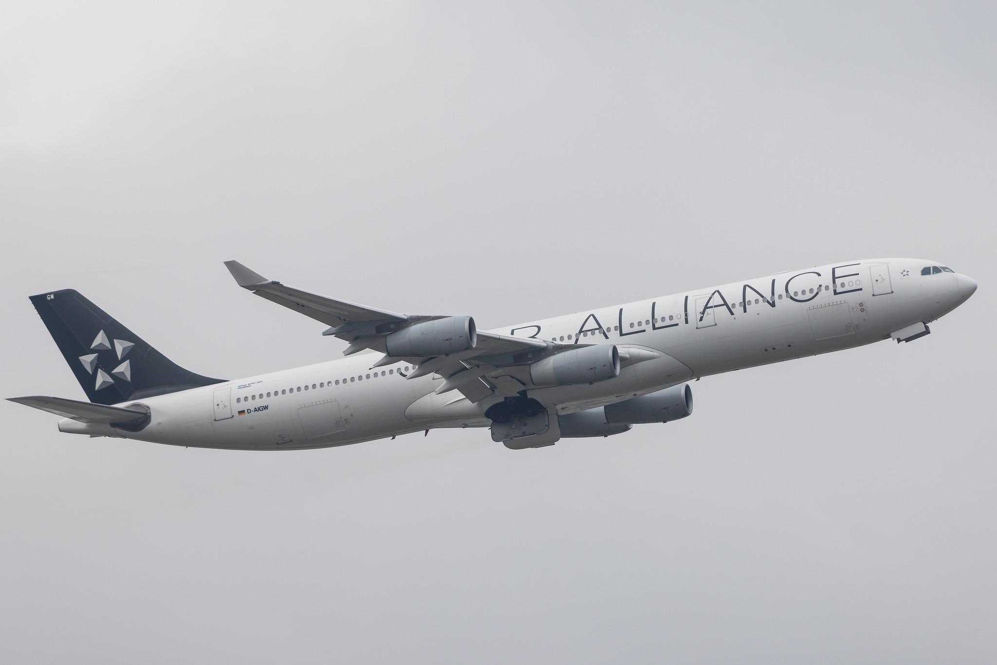 Frankfurt Airport: Lufthansa (LH / DLH) |  Livery: Star Alliance Livery |  Airbus A340-313 A343 | D-AIGW | MSN 0327