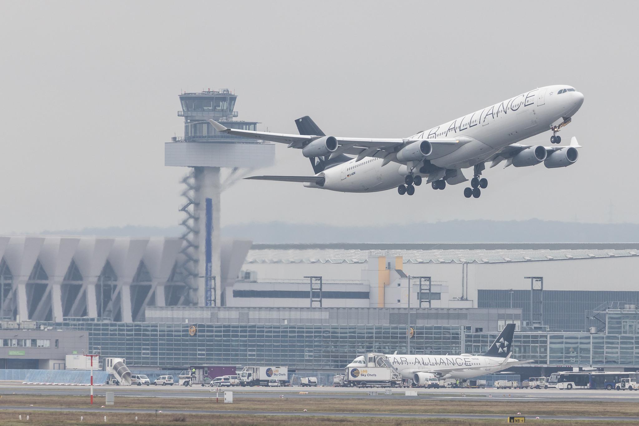 Frankfurt Airport: Lufthansa (LH / DLH) |  Livery: Star Alliance Livery |  Airbus A340-313 A343 | D-AIGW | MSN 0327