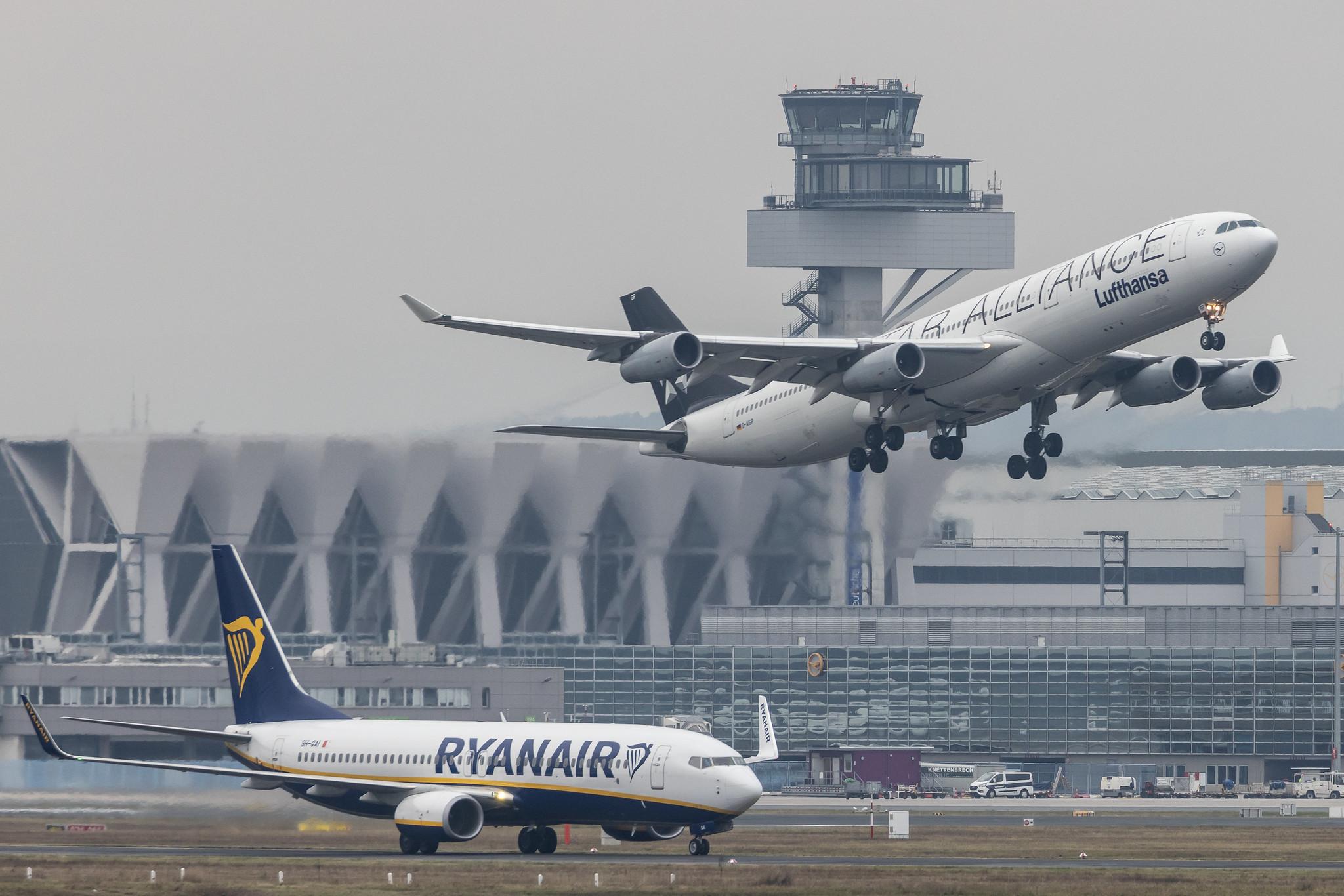 Frankfurt Airport: Lufthansa (LH / DLH) |  Livery: Star Alliance Livery |  Airbus A340-313 A343 | D-AIGP | MSN 0252