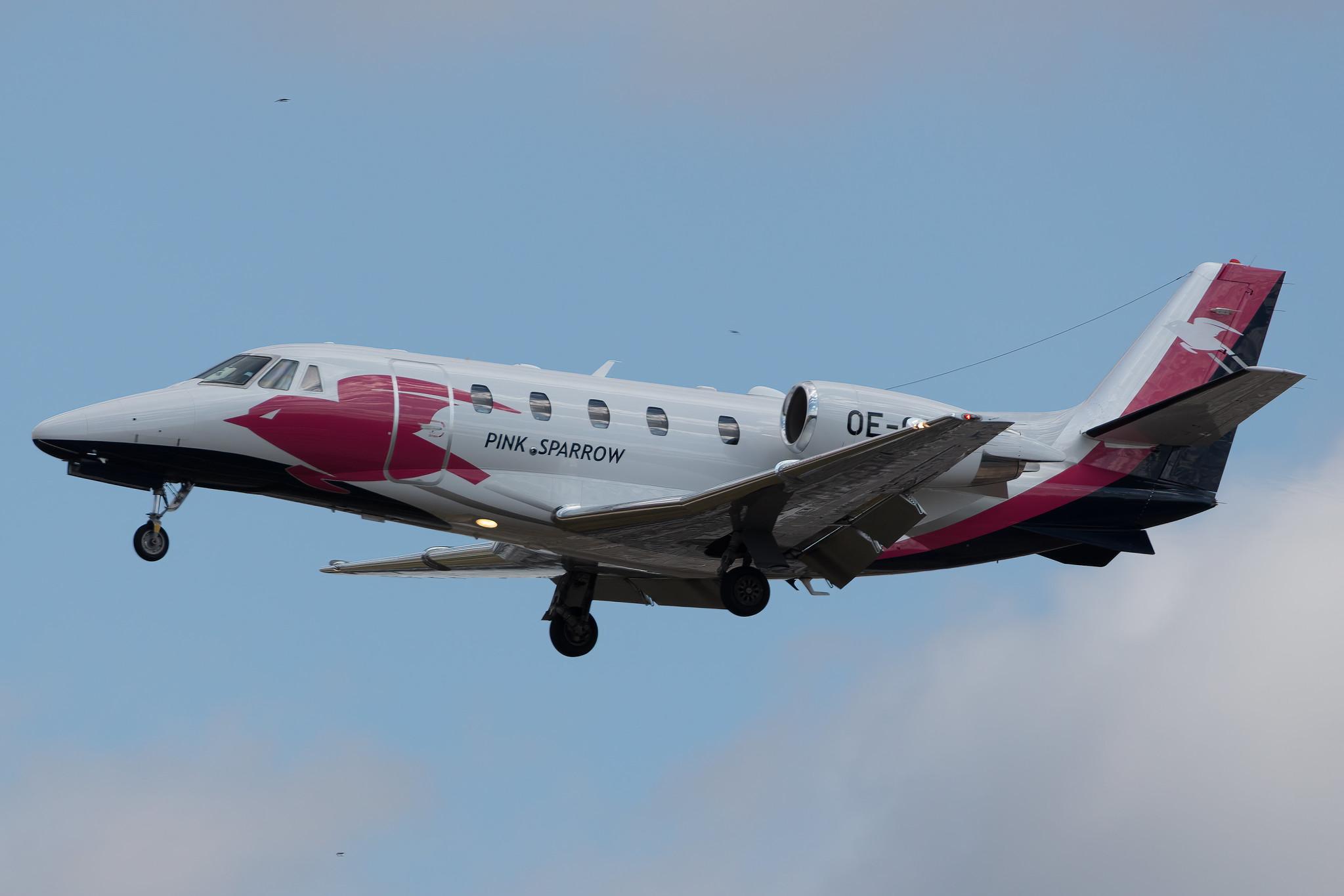Frankfurt Airport: Pink Sparrow (/ SOW) |  Cessna 560XL Citation XLS+ C56X | OE-GRM | MSN 560-6126