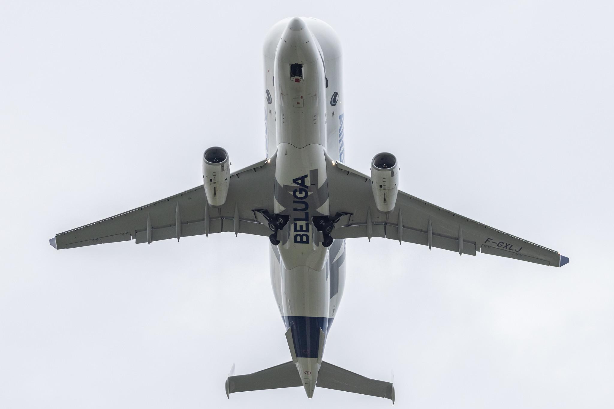 Hamburg Finkenwerder: Airbus Transport International (4Y / BGA) | Airbus A330-743L Beluga XL A337 | F-GXLJ | MSN 1985