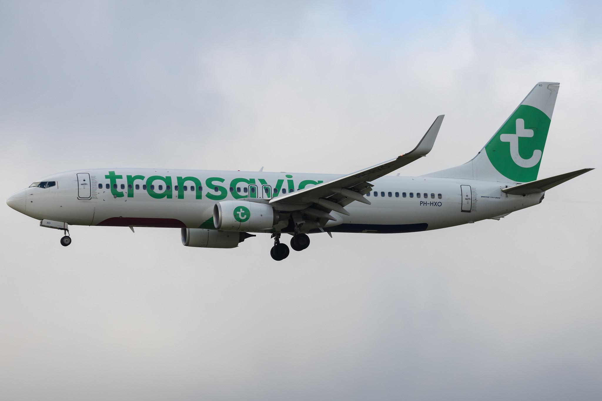 Amsterdam Schiphol: Transavia (HV / TRA) | Boeing 737-8K2 B738 | PH-HXO | MSN 62577