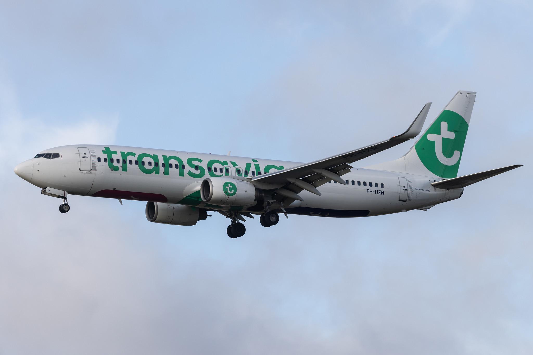 Amsterdam Schiphol: Transavia (HV / TRA) | Boeing 737-8K2 B738 | PH-HZN | MSN 32943