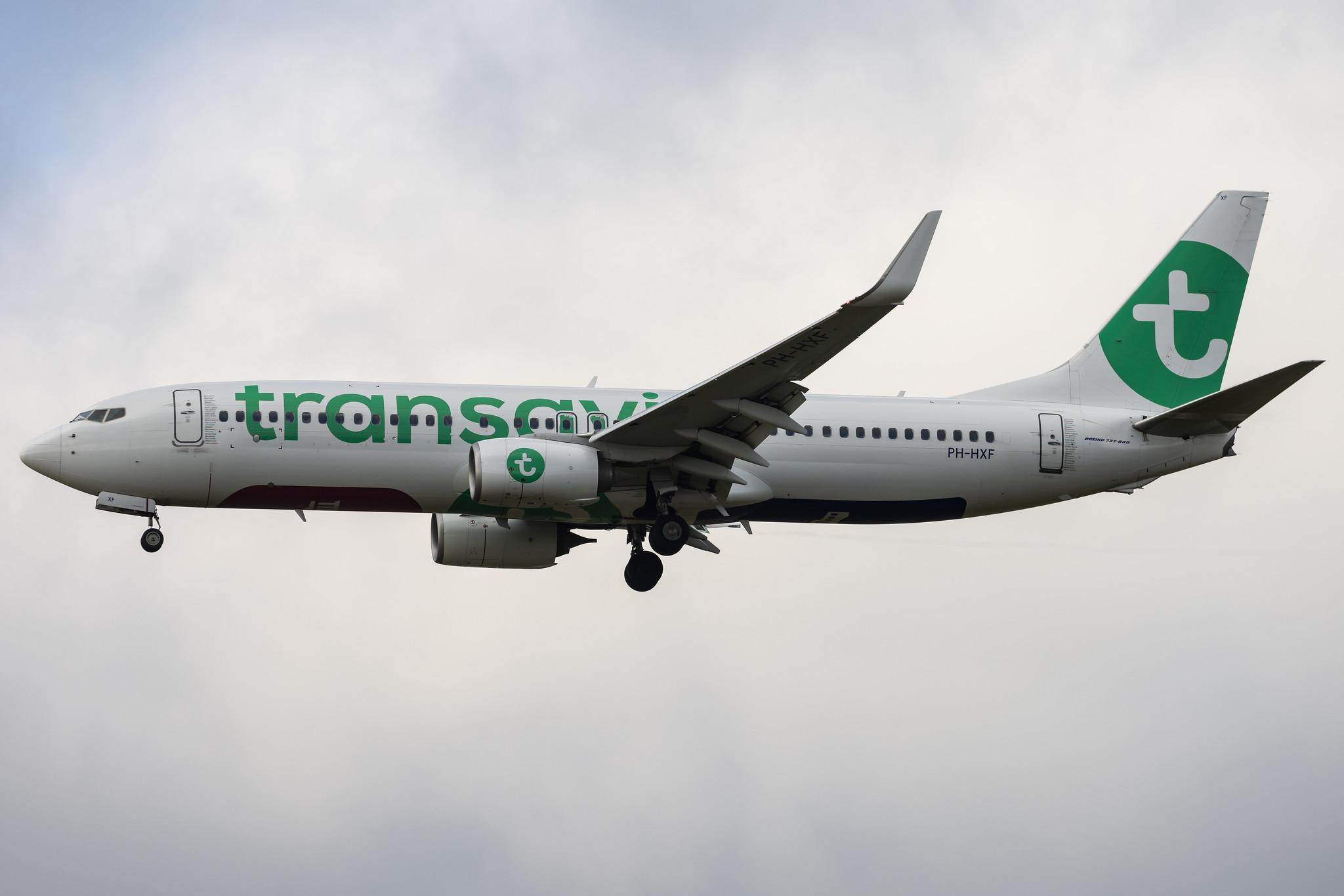 Amsterdam Schiphol: Transavia (HV / TRA) | Boeing 737-8K2 B738 | PH-HXF | MSN 62153