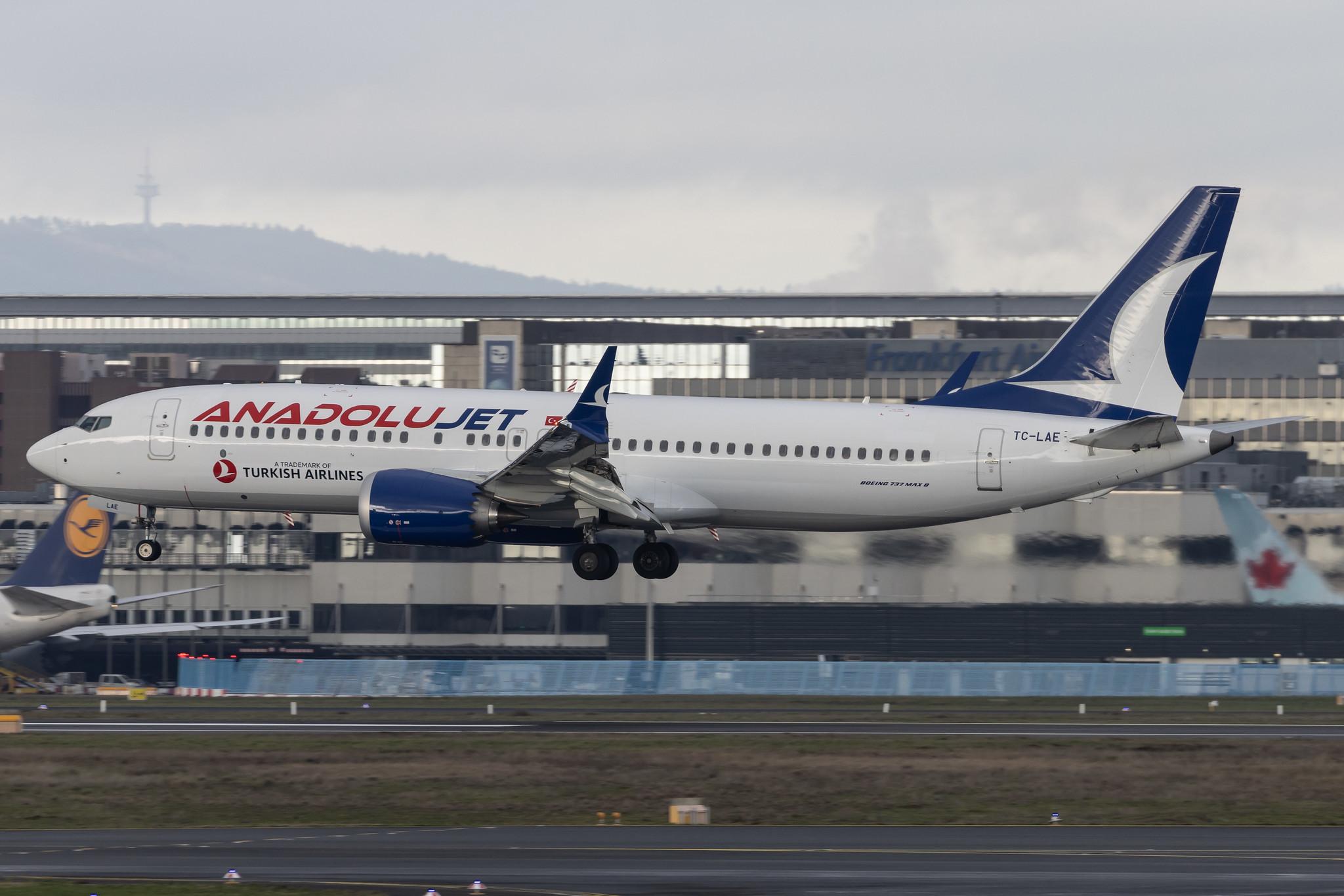 Frankfurt Airport: AnadoluJet (TK / THY) | Operator: Turkish Airlines | Boeing 737 MAX 8 B38M | TC-LAE | MSN 44656
