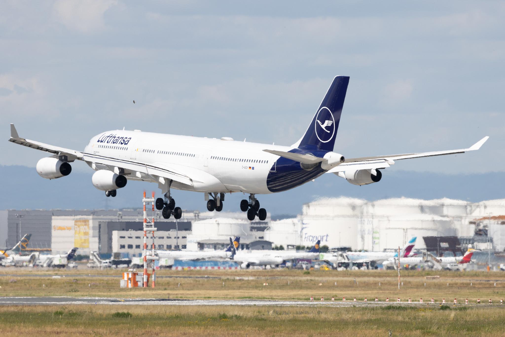 Frankfurt Airport: Lufthansa (LH / DLH) |  Airbus A340-313 A343 | D-AIGY | MSN 0335
