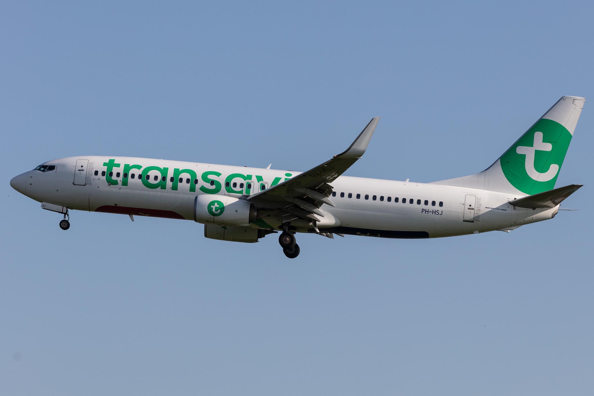 Amsterdam Schiphol: Transavia (HV / TRA) |  Boeing 737-8K2 B738 | PH-HSJ | MSN 42150