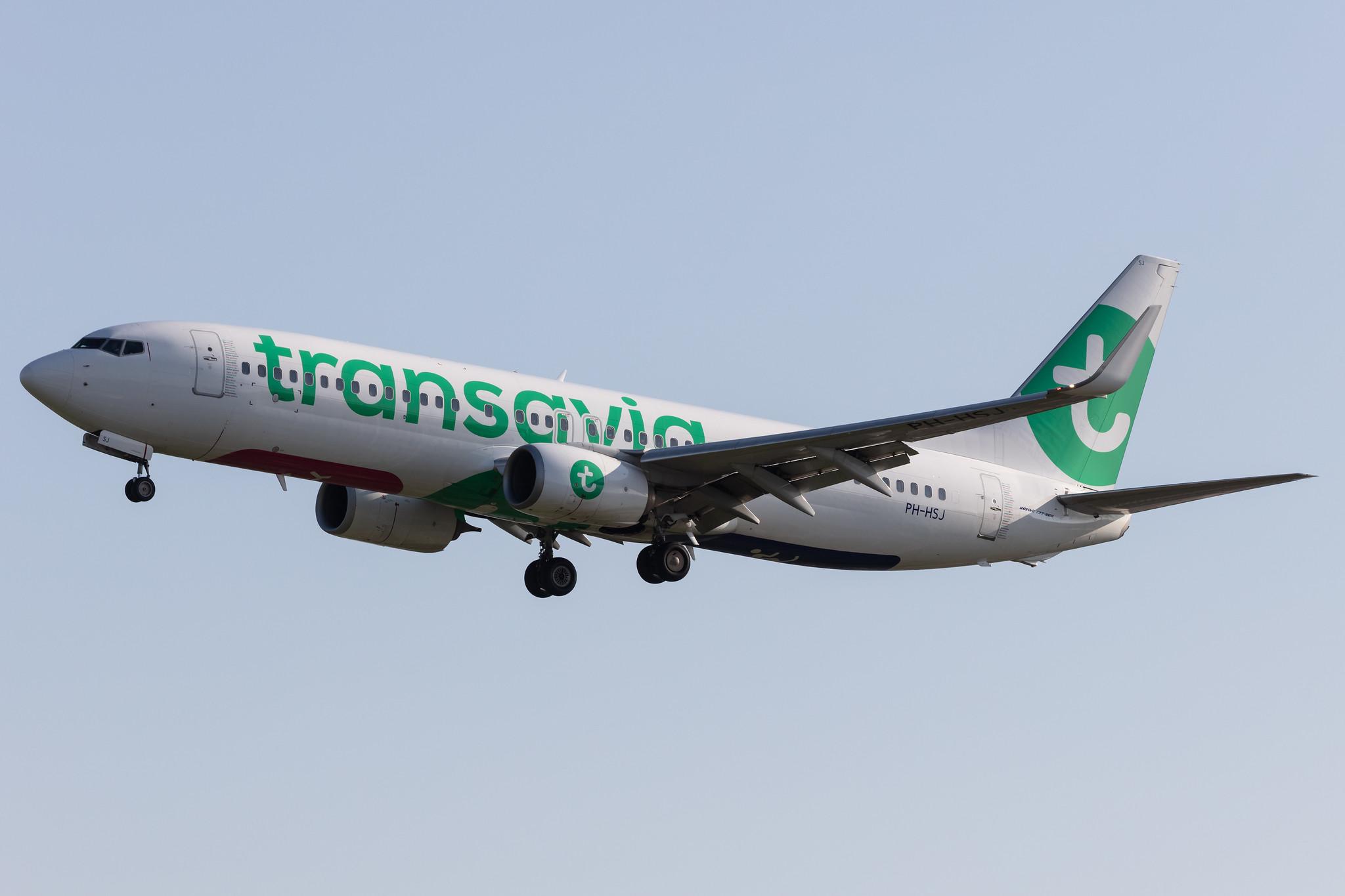 Amsterdam Schiphol: Transavia (HV / TRA) |  Boeing 737-8K2 B738 | PH-HSJ | MSN 42150