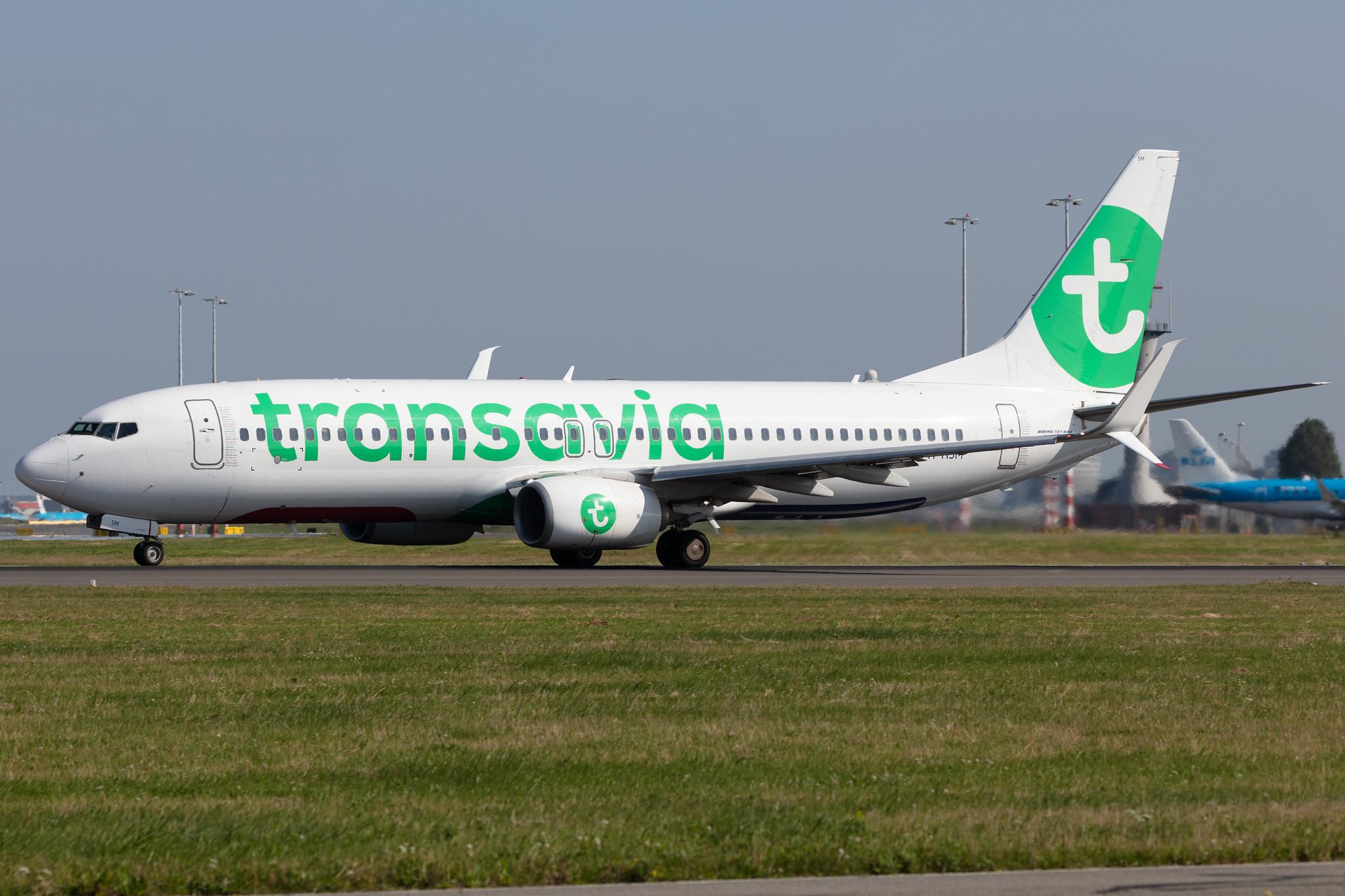 Amsterdam Schiphol: Transavia (HV / TRA) |  Boeing 737-8K2 B738 | PH-HSM | MSN 42067