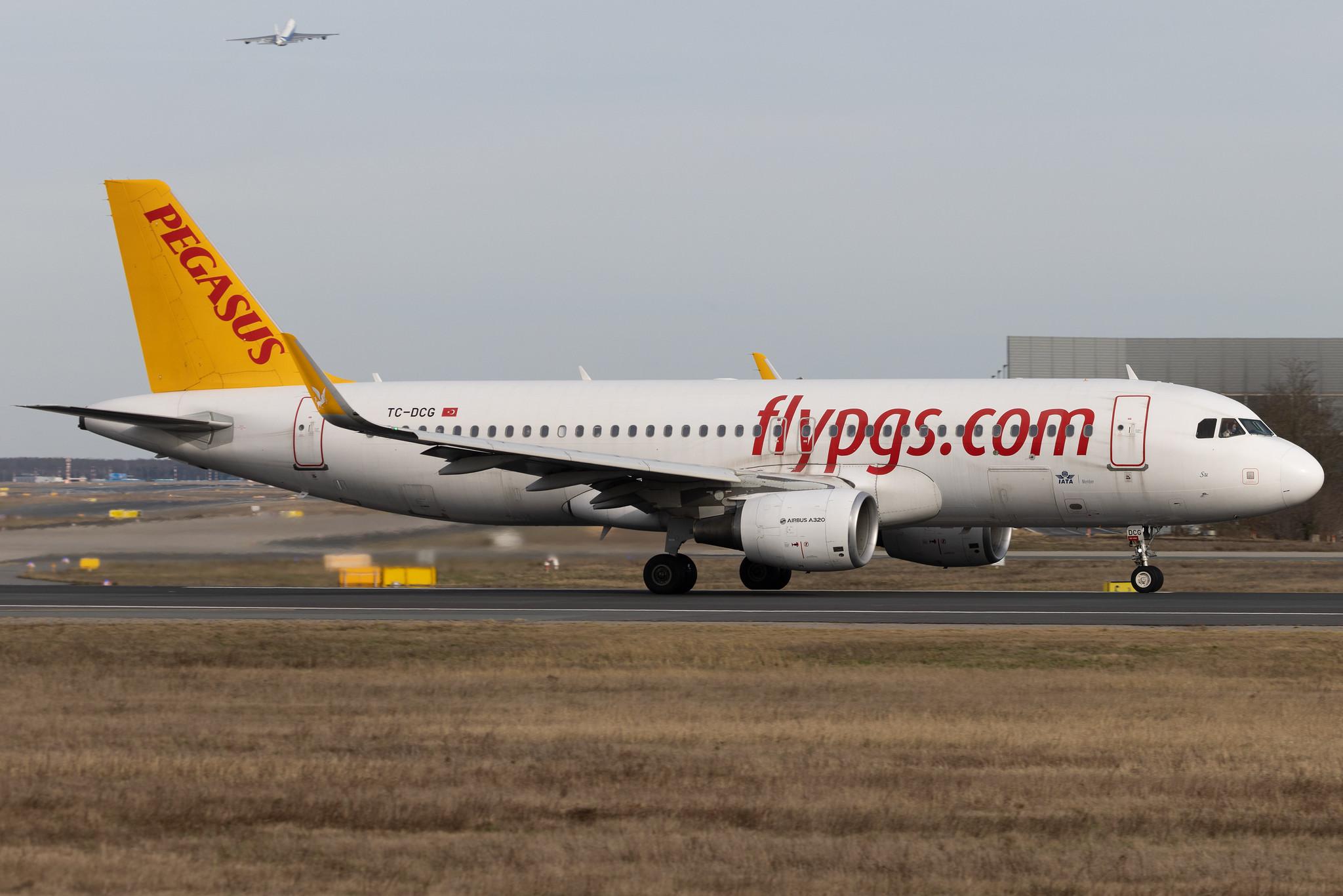 Frankfurt Airport: Pegasus (PC / PGT) | Operator: Pegasus Airlines | Airbus A320-216 A320 | TC-DCG | MSN 06597
