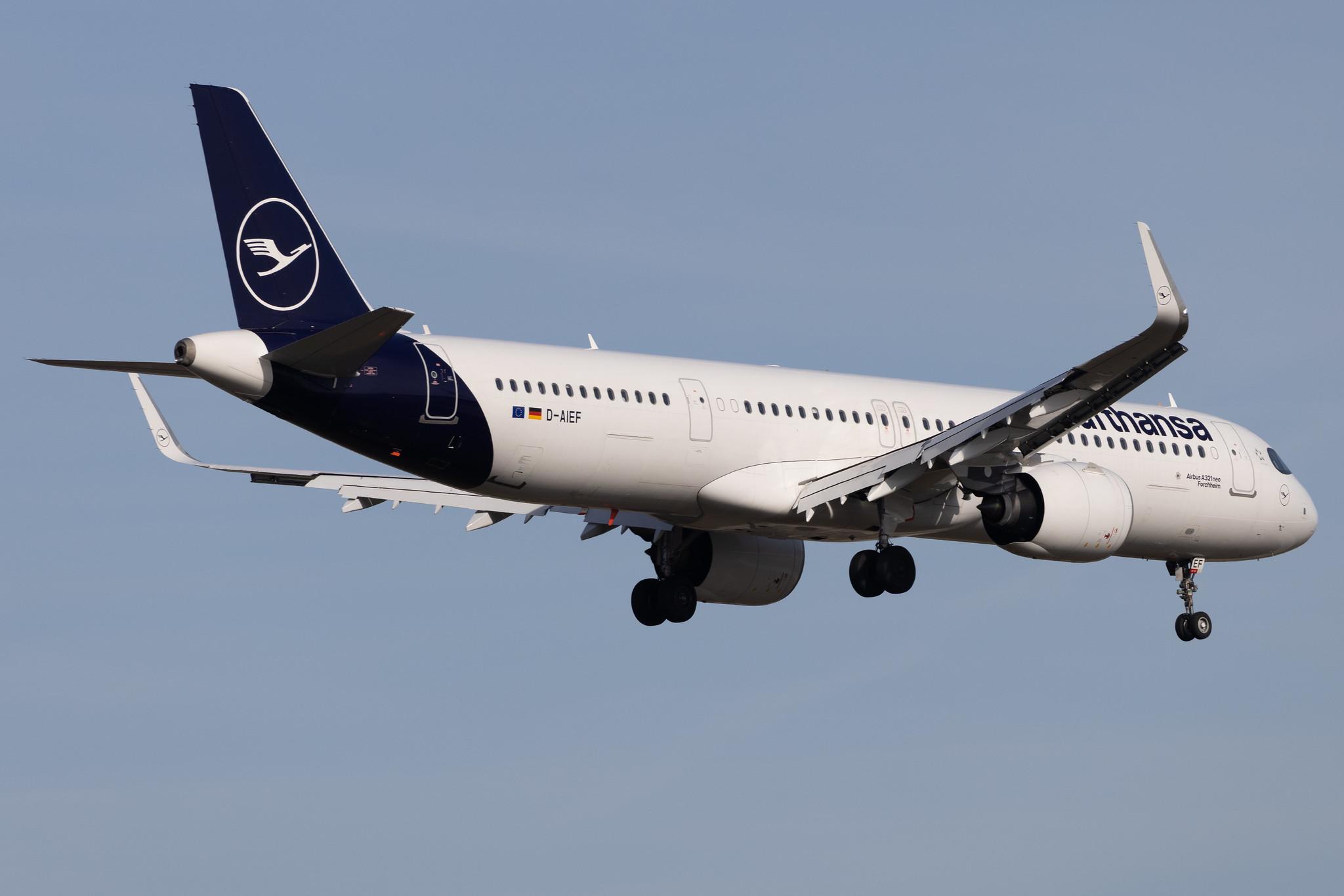 Frankfurt Airport: Lufthansa (LH / DLH) | Airbus A321-271NX A21N | D-AIEF | MSN 10010