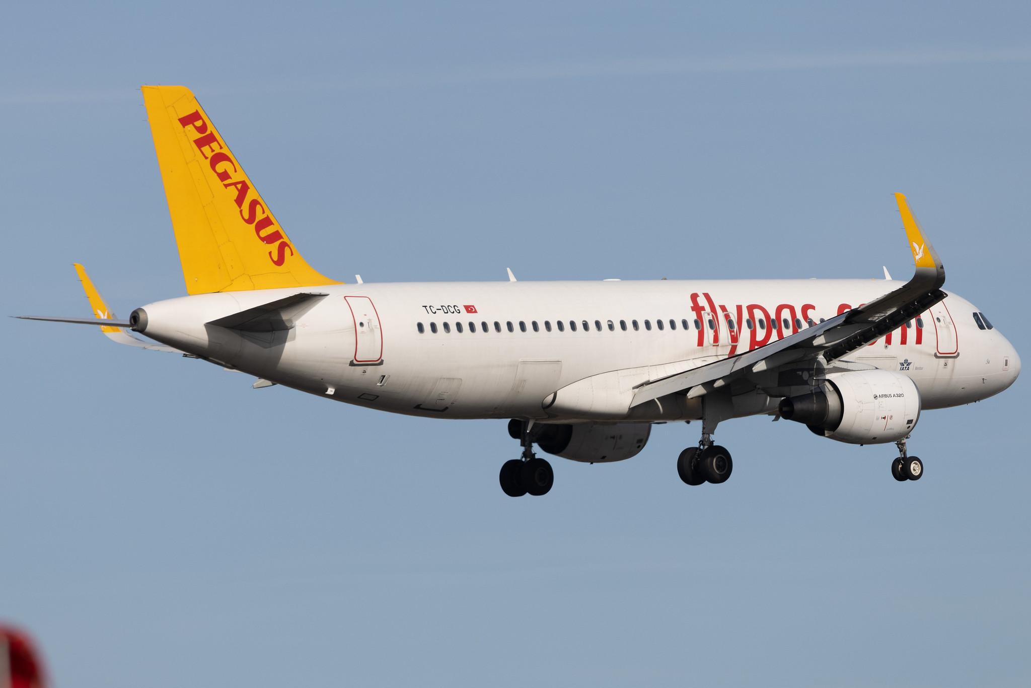 Frankfurt Airport: Pegasus (PC / PGT) | Operator: Pegasus Airlines | Airbus A320-216 A320 | TC-DCG | MSN 06597