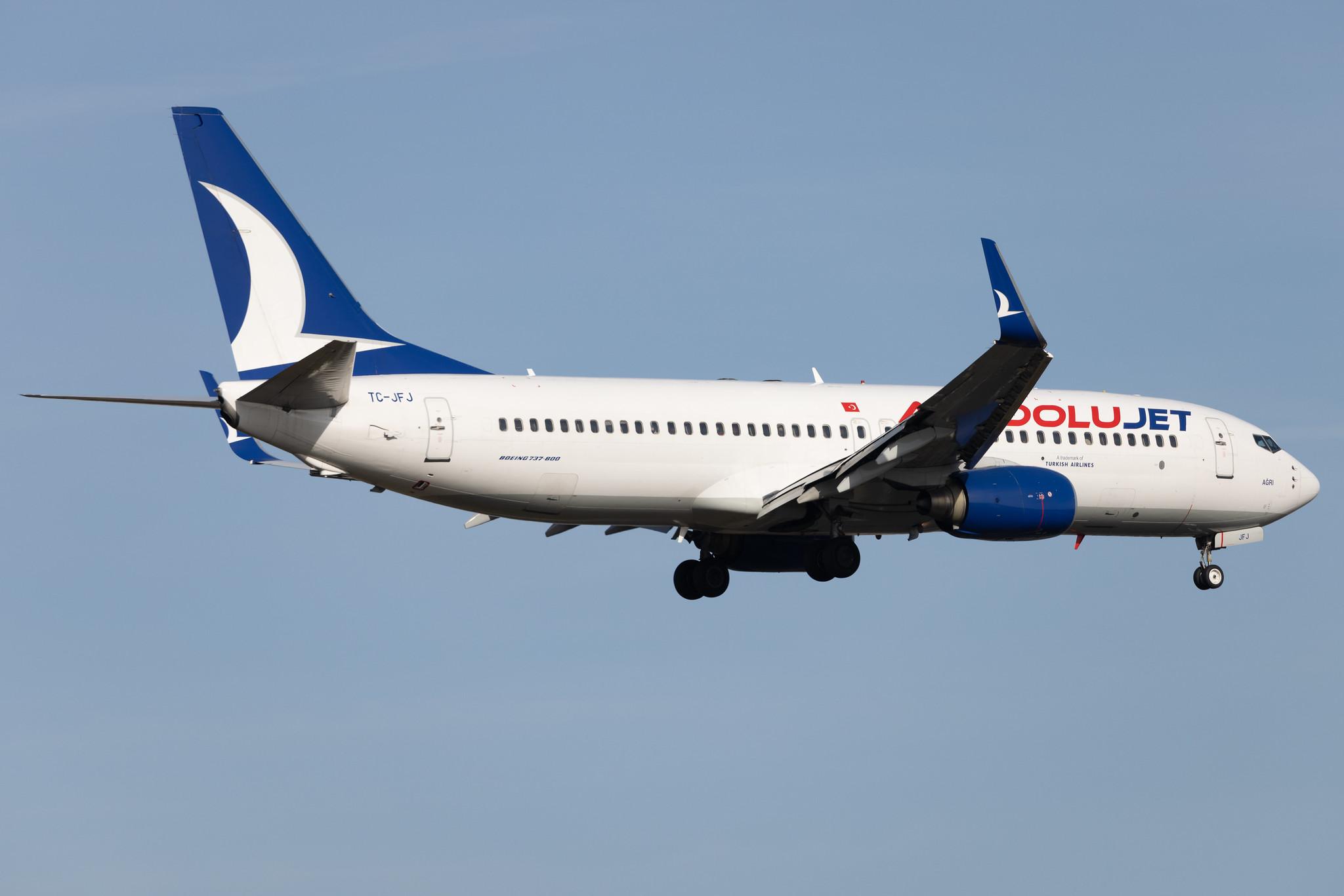 Frankfurt Airport: AnadoluJet (TK / THY) | Operator: Turkish Airlines | Boeing 737-8F2 B738 | TC-JFJ | MSN 29772